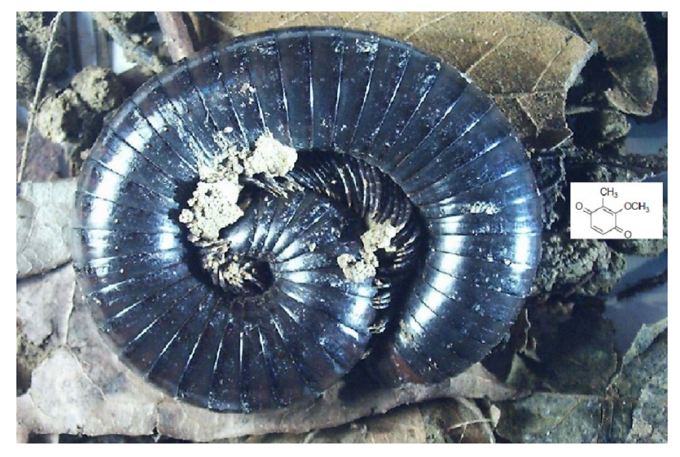 Chemproc 03 00090 g001