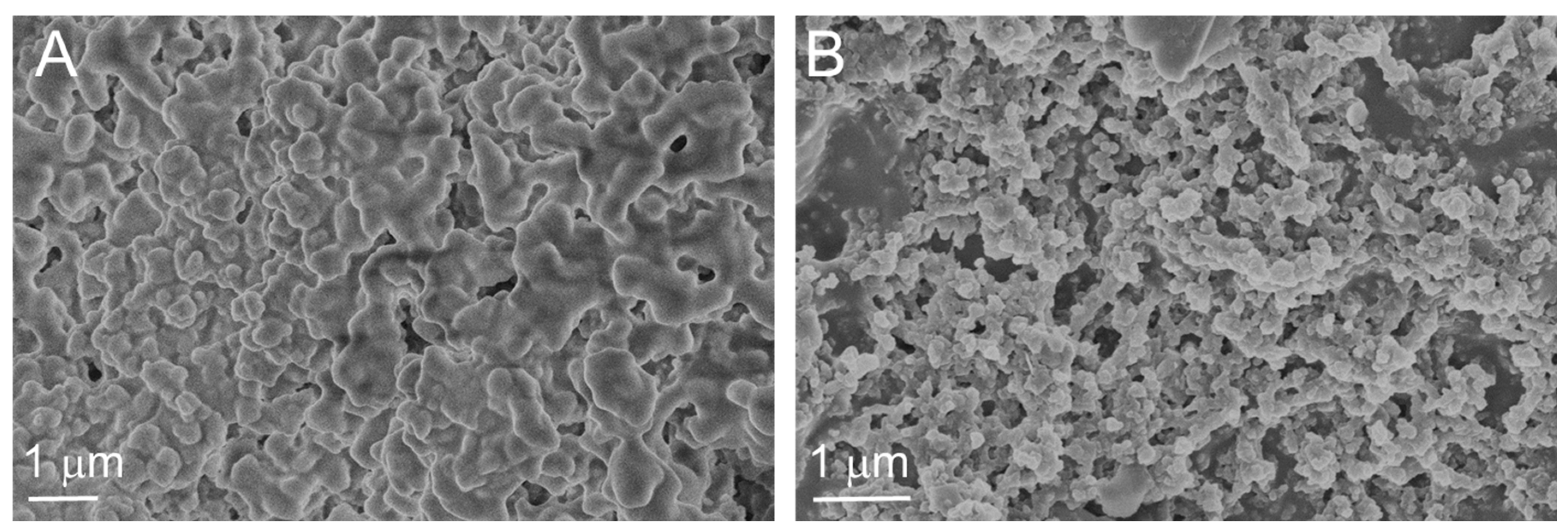 Chemproc 03 00094 g001