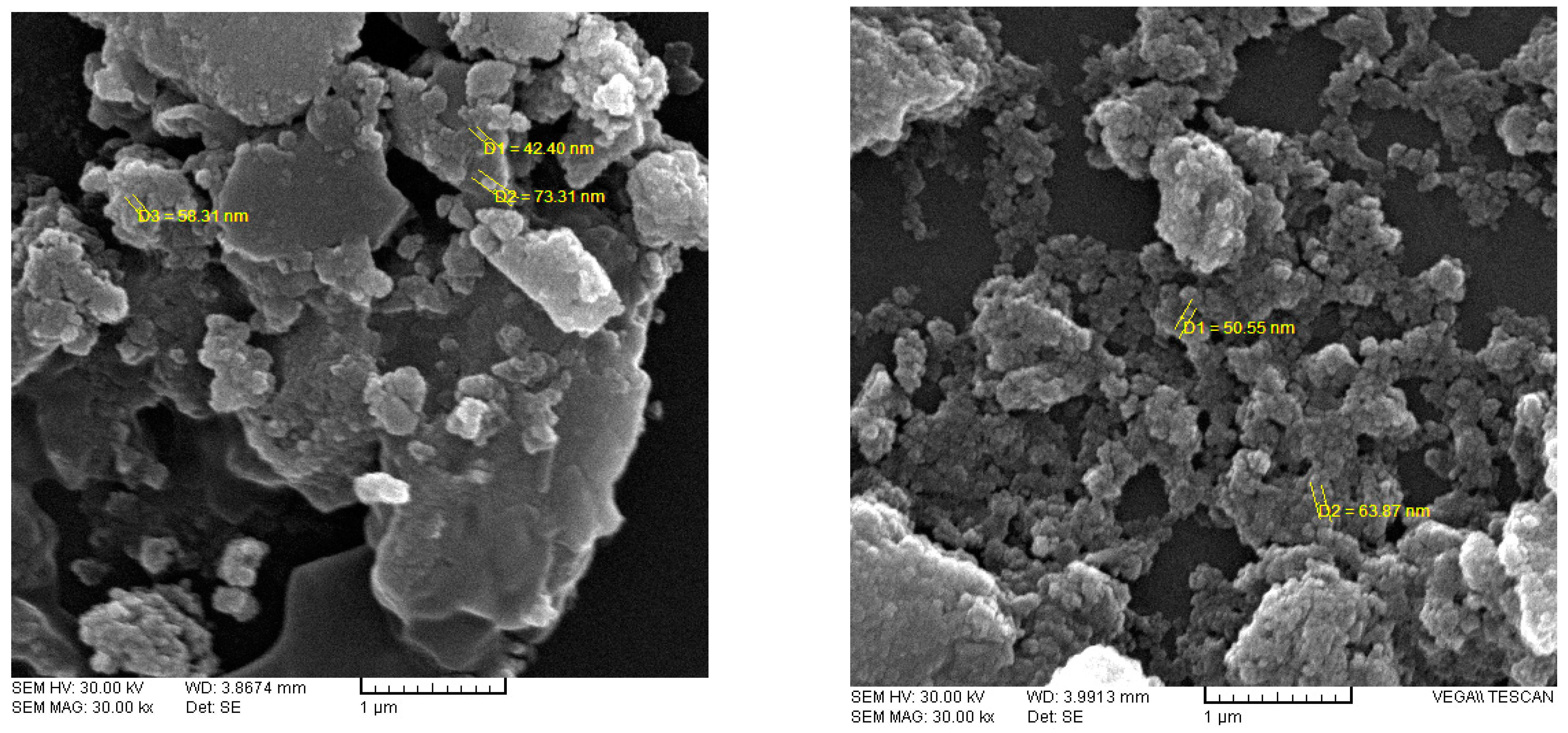 Chemproc 03 00101 g004