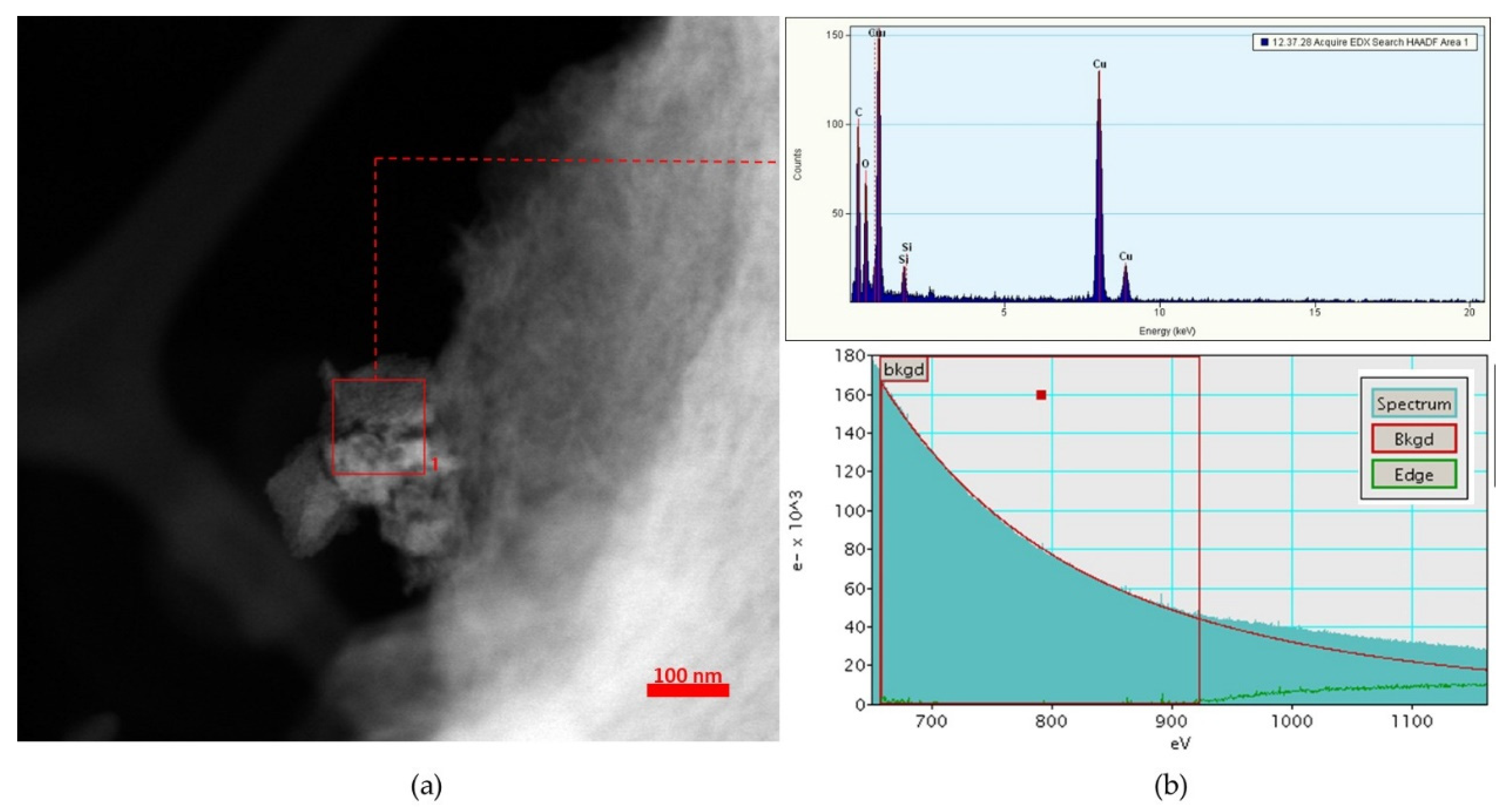 Chemproc 03 00103 g002 550