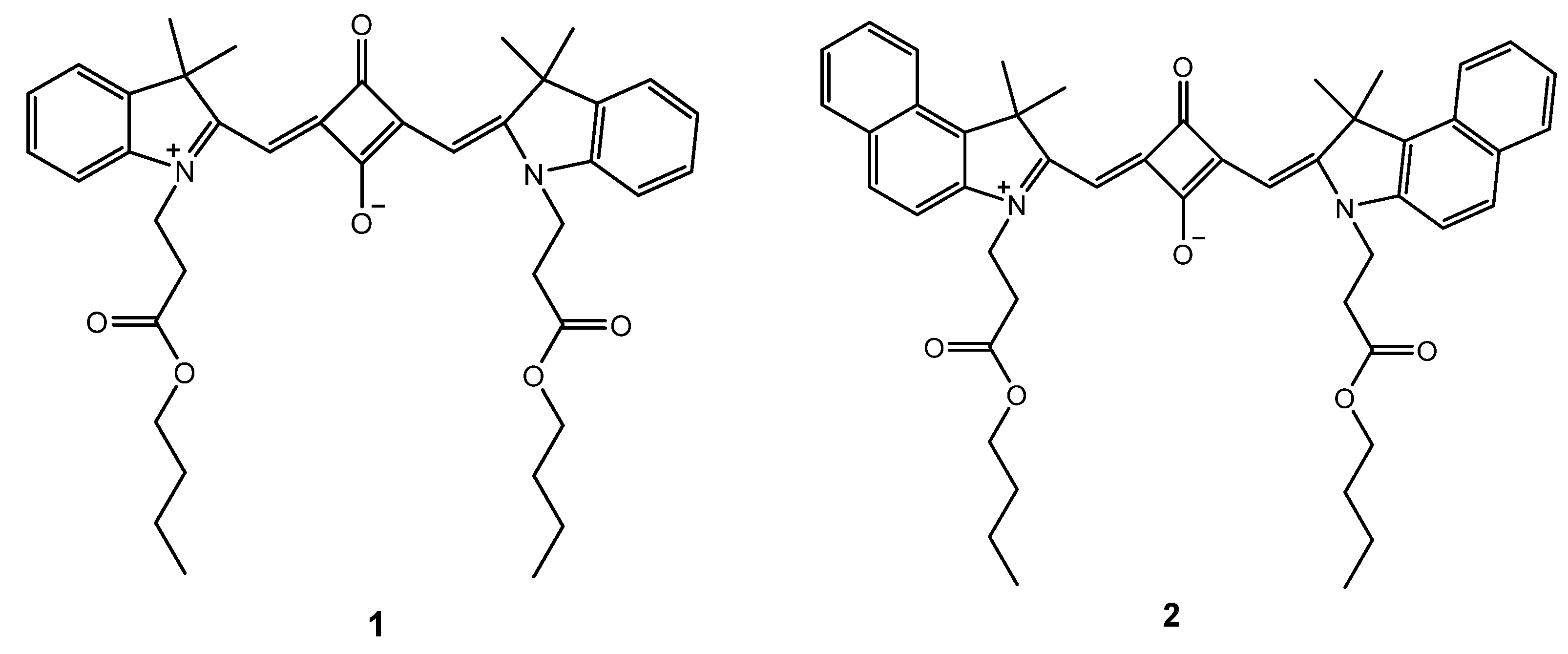 Chemproc 03 00106 g001 550