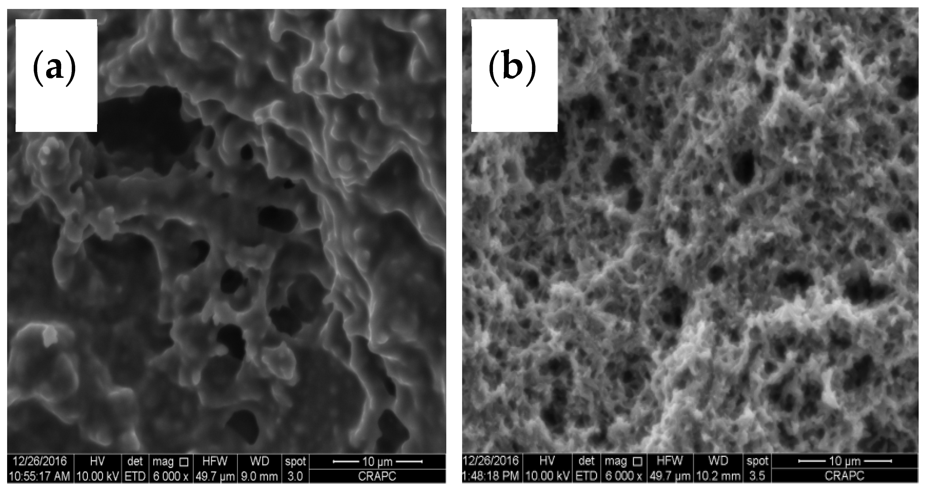 Chemproc 03 00110 g004 550
