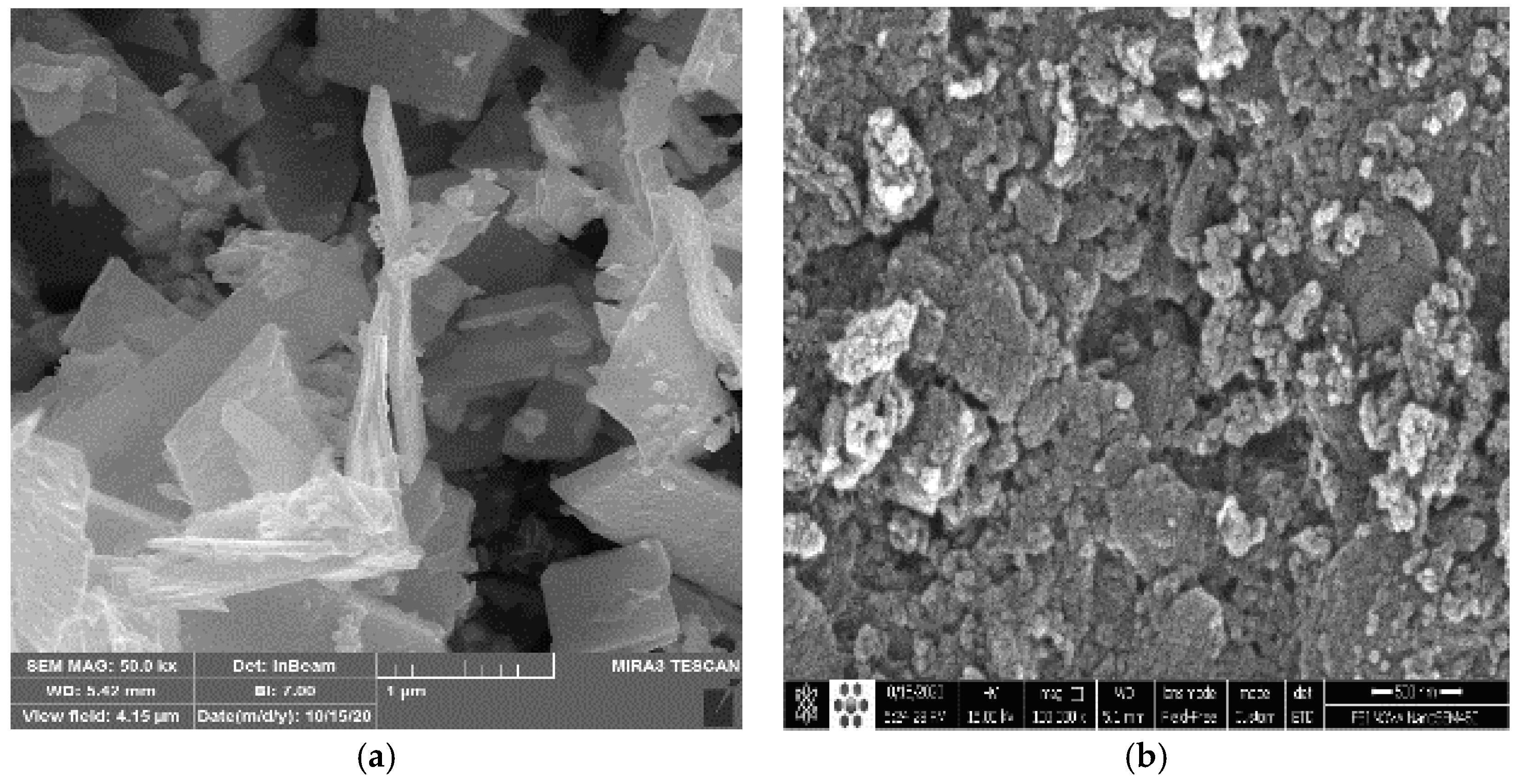 Chemproc 03 00118 g002 550
