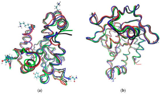 The Structural Flexibility of Cold- and Warm-Adapted Enzymes