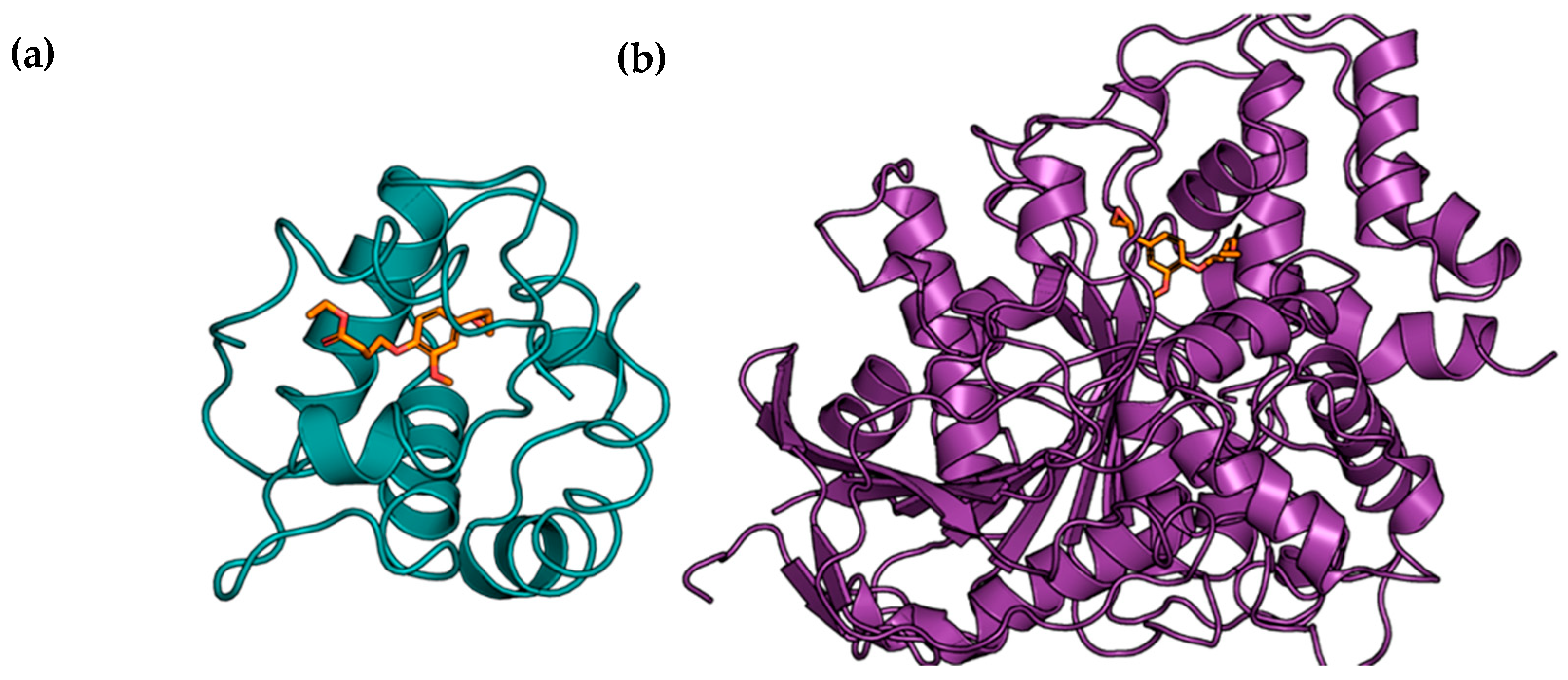 Chemproc 03 00138 g002
