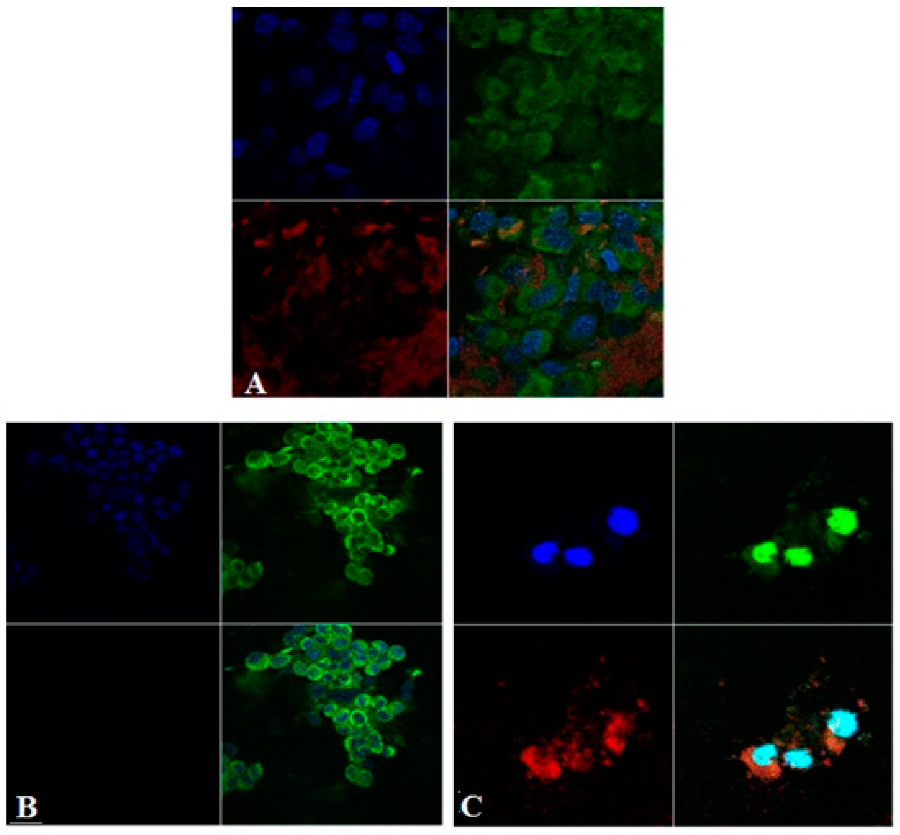 Chemproc 03 00140 g001 550
