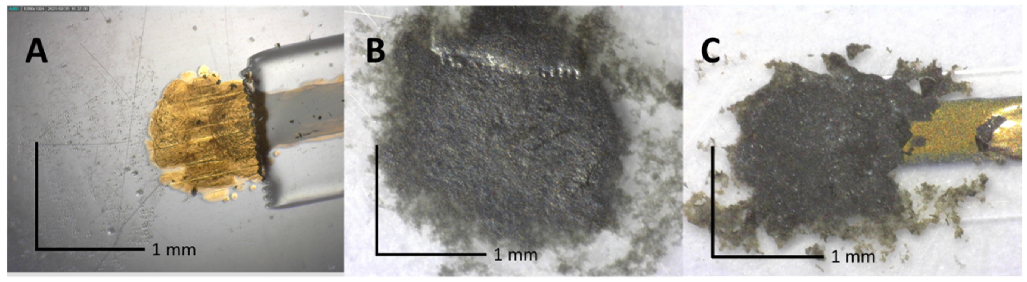 Chemproc 05 00004 g001
