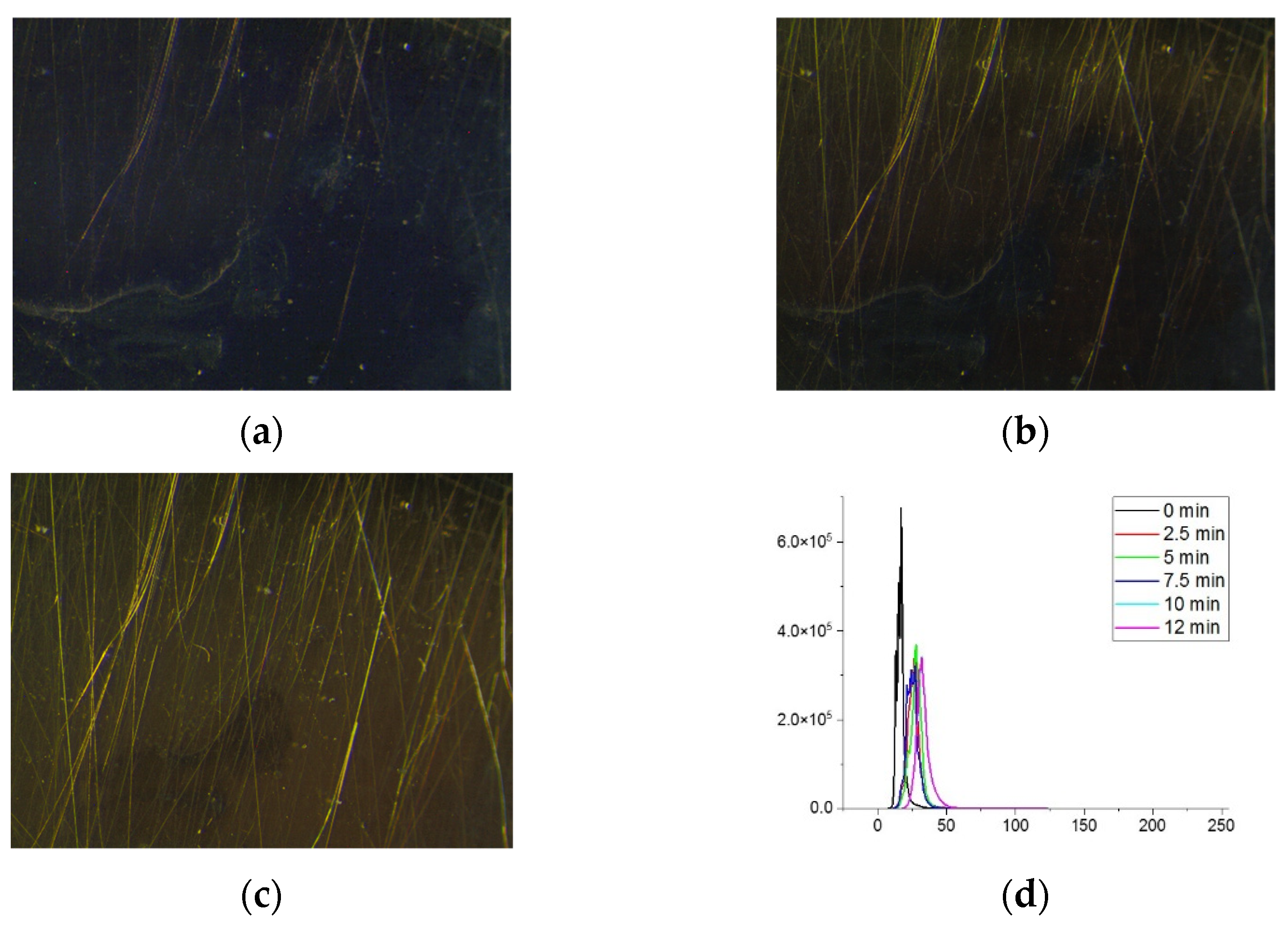 Chemproc 05 00007 g003 550