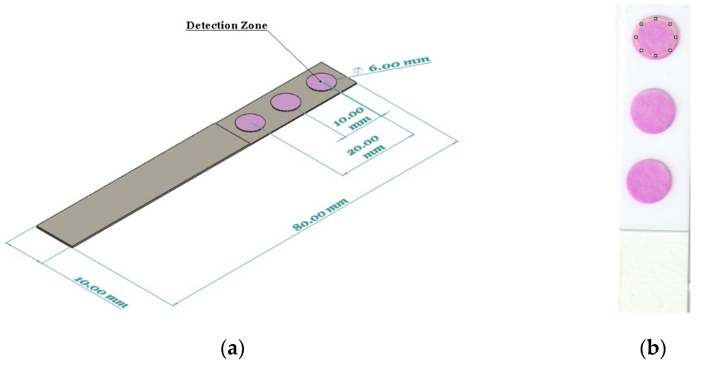 Chemproc 05 00009 g001 550