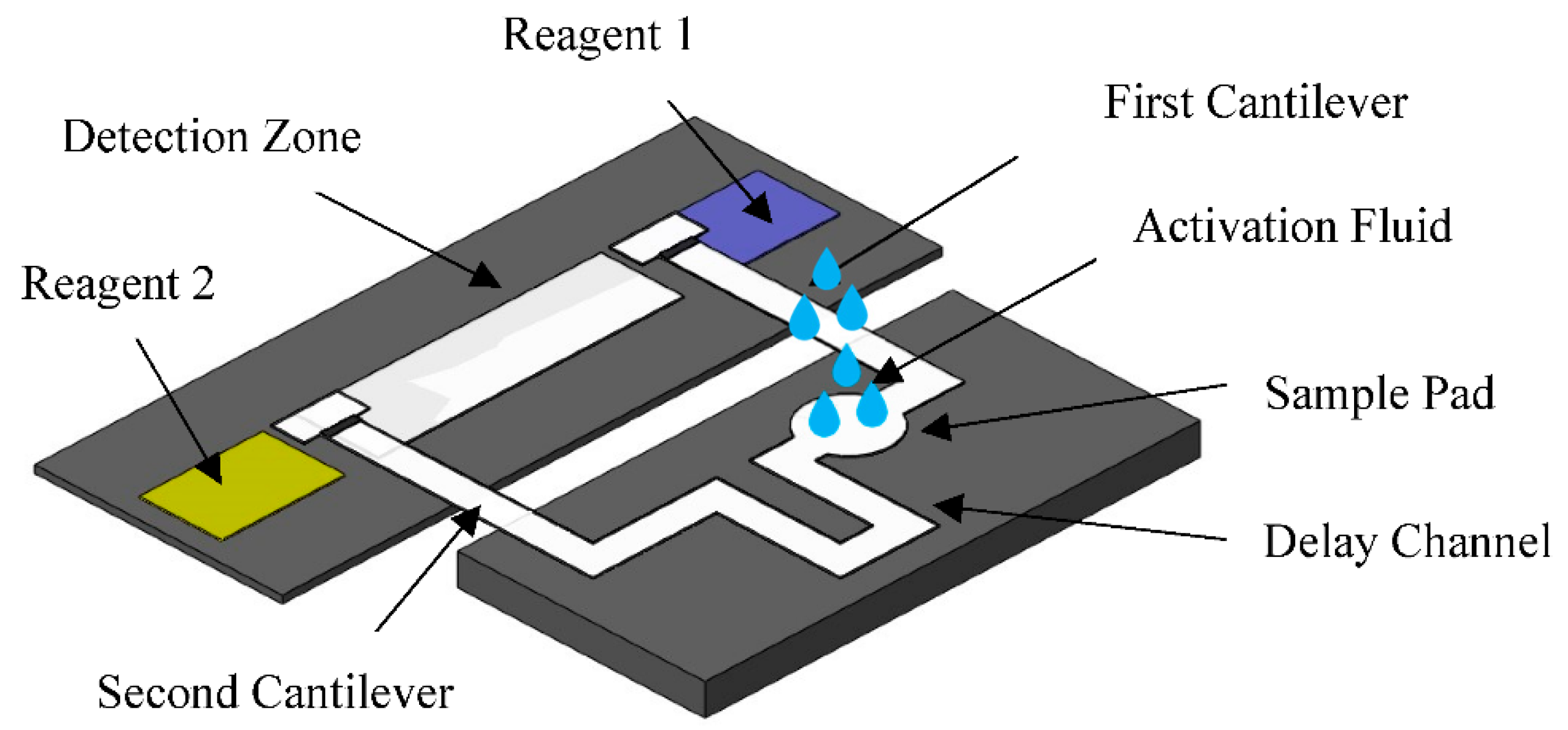 Chemproc 05 00015 g002 Chemproc 05 00015 g002