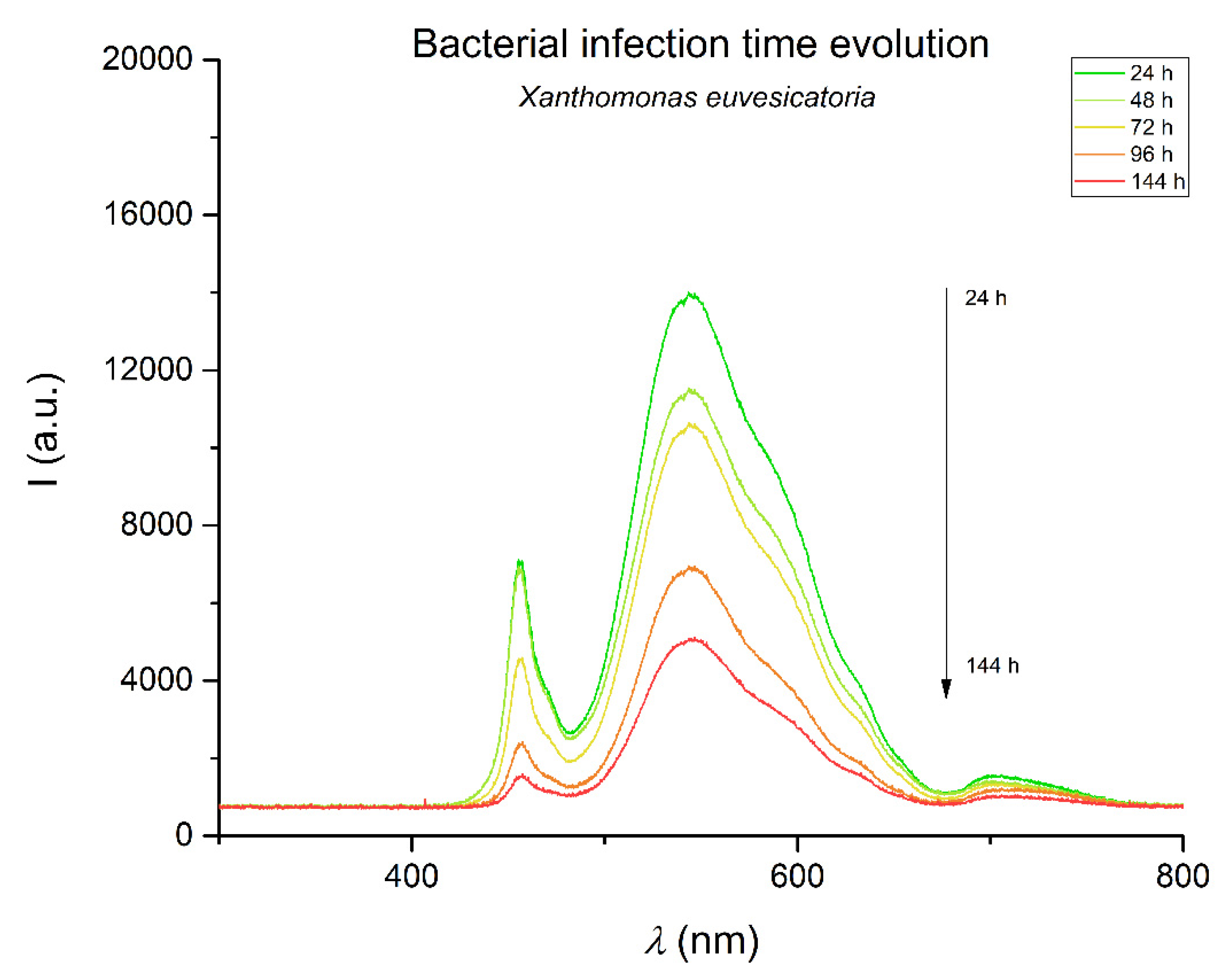 Chemproc 05 00018 g001