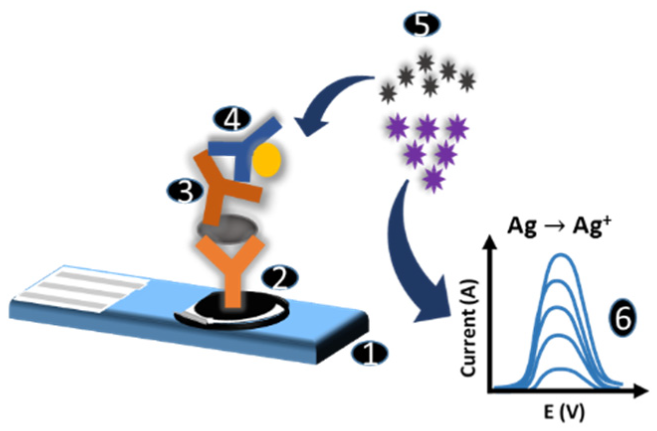 Chemproc 05 00062 g001