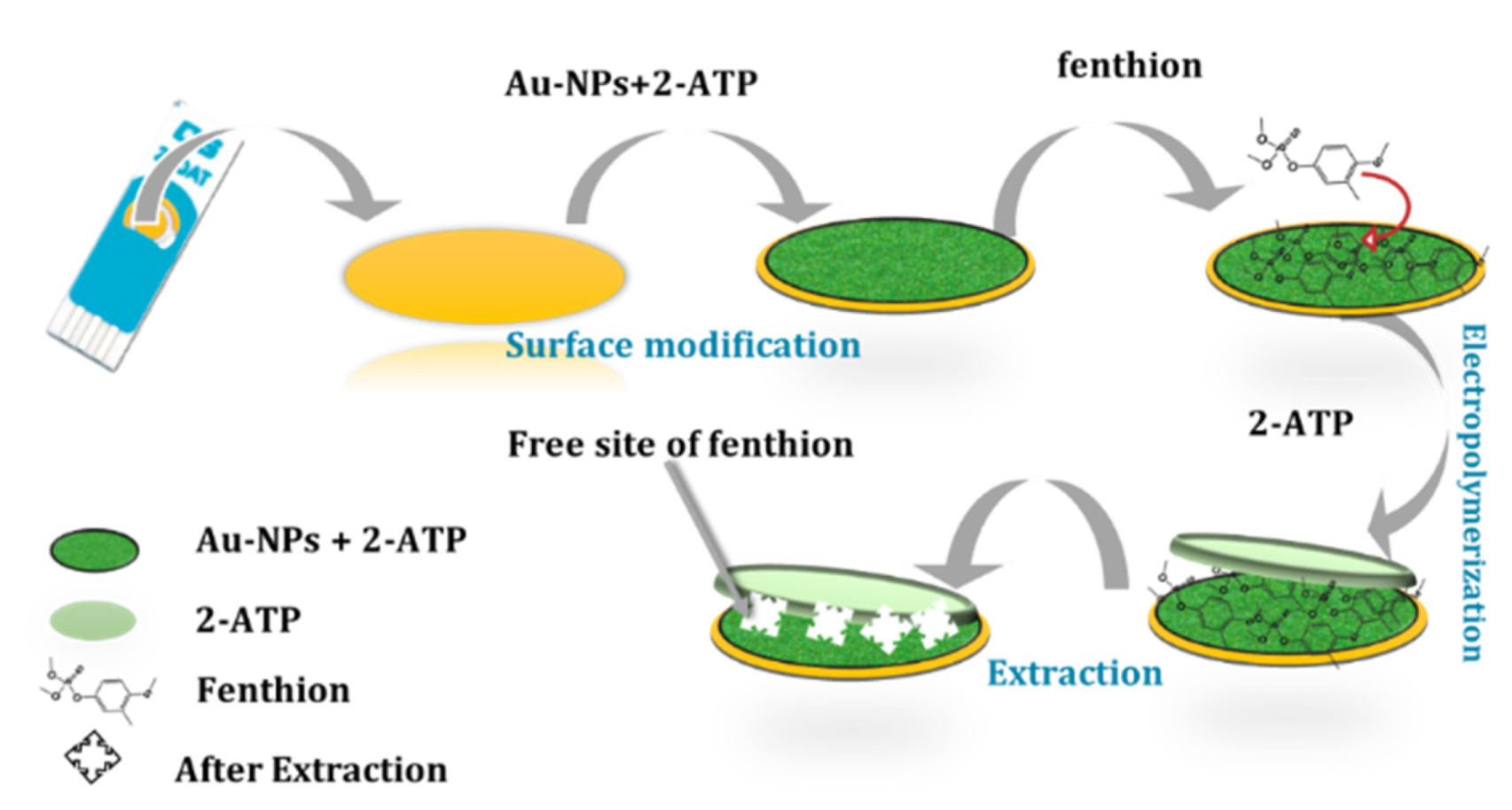 Chemproc 05 00064 g001
