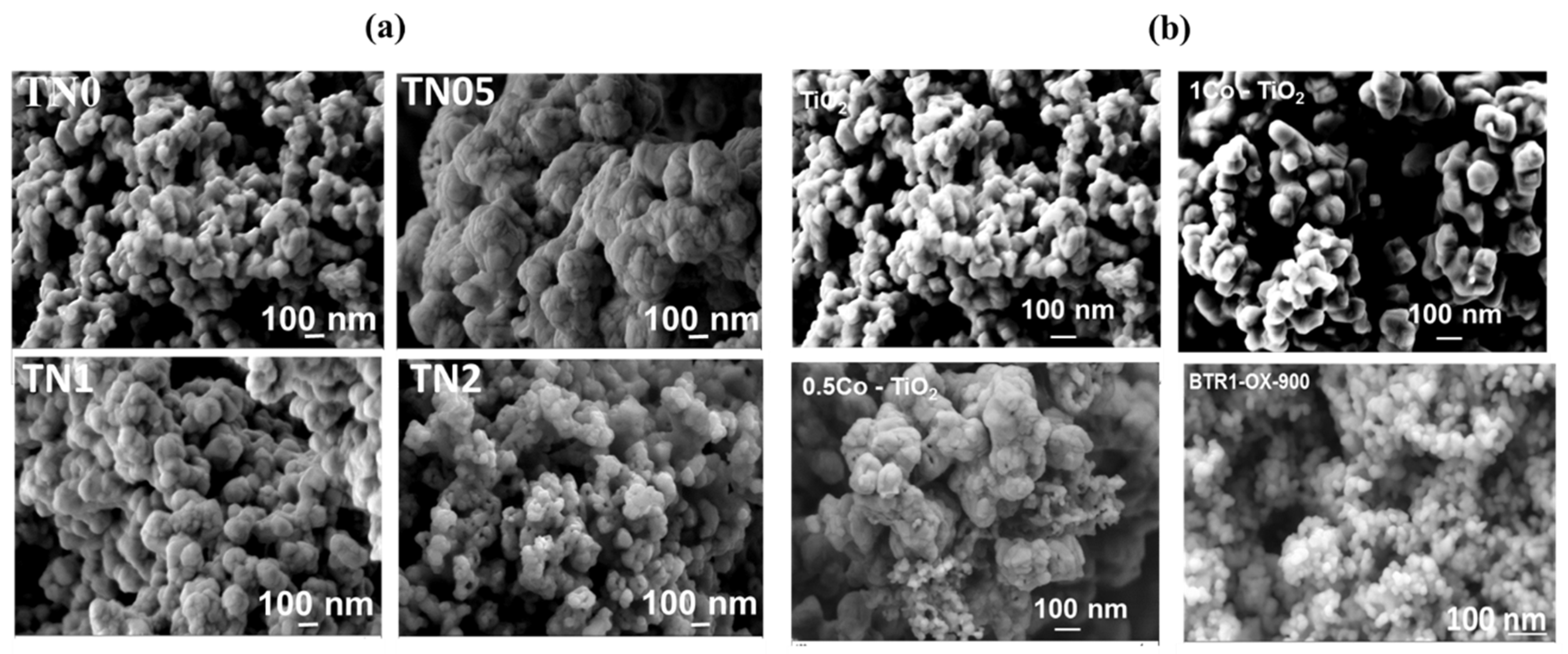 Chemproc 05 00066 g002 550