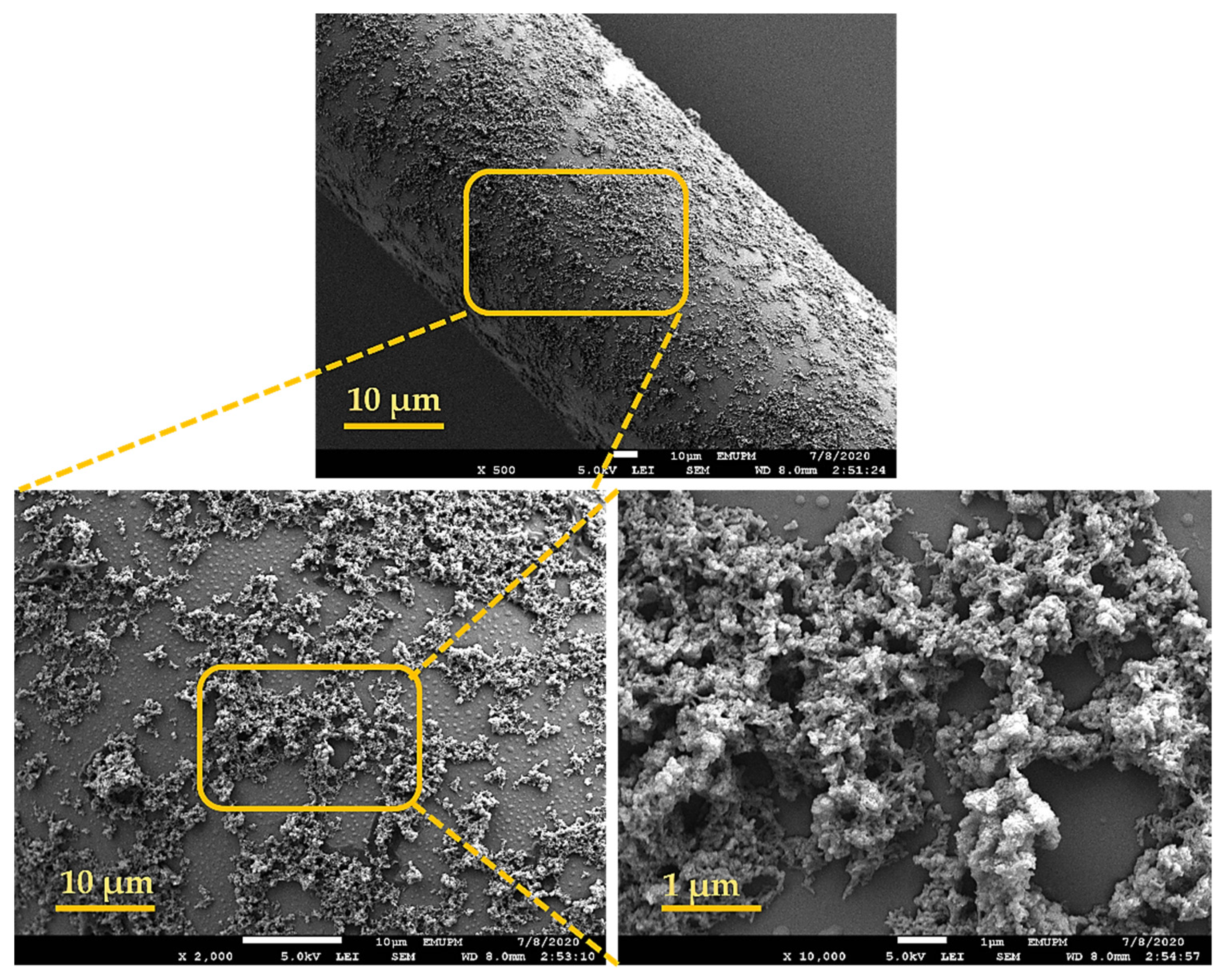 Chemproc 05 00085 g003 Chemproc 05 00085 g003