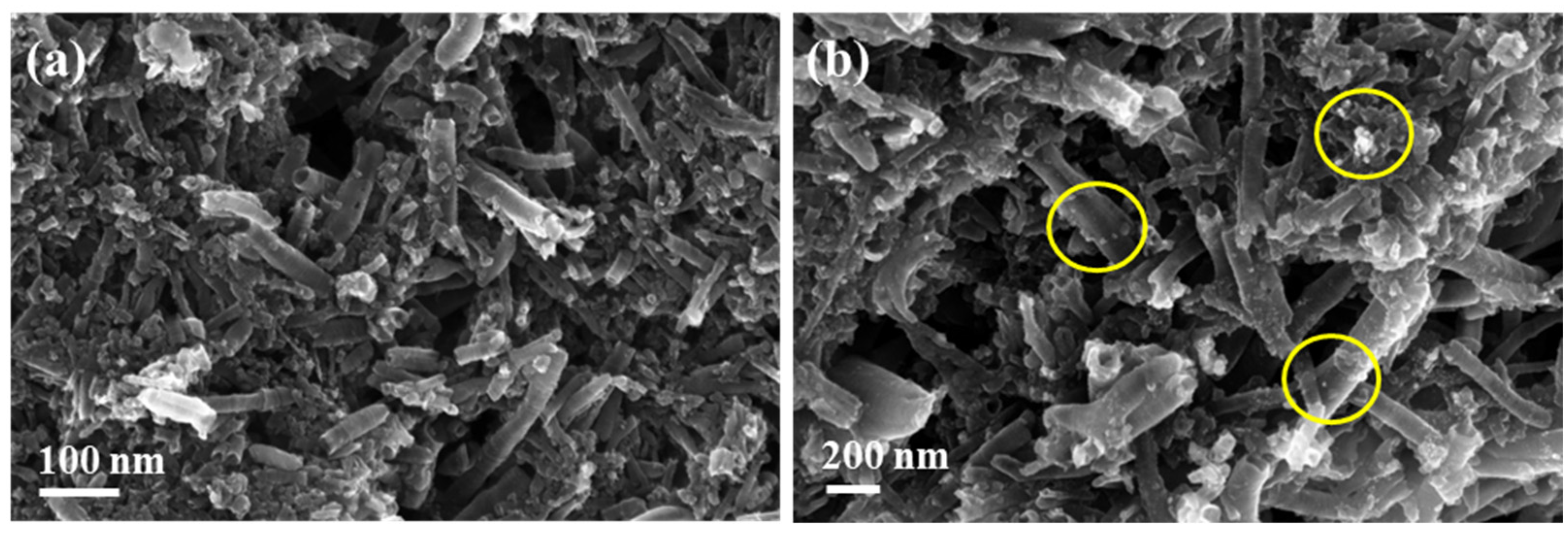 Chemproc 05 00087 g002