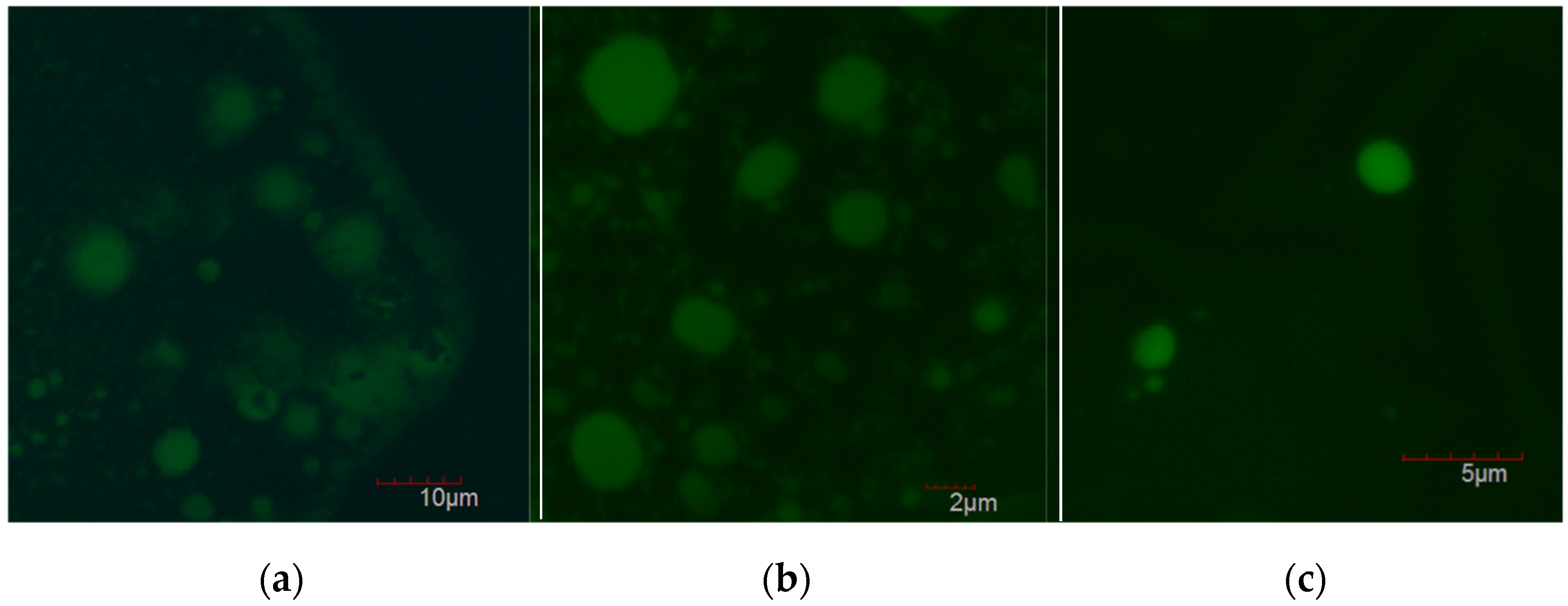 Chemproc 05 00090 g005