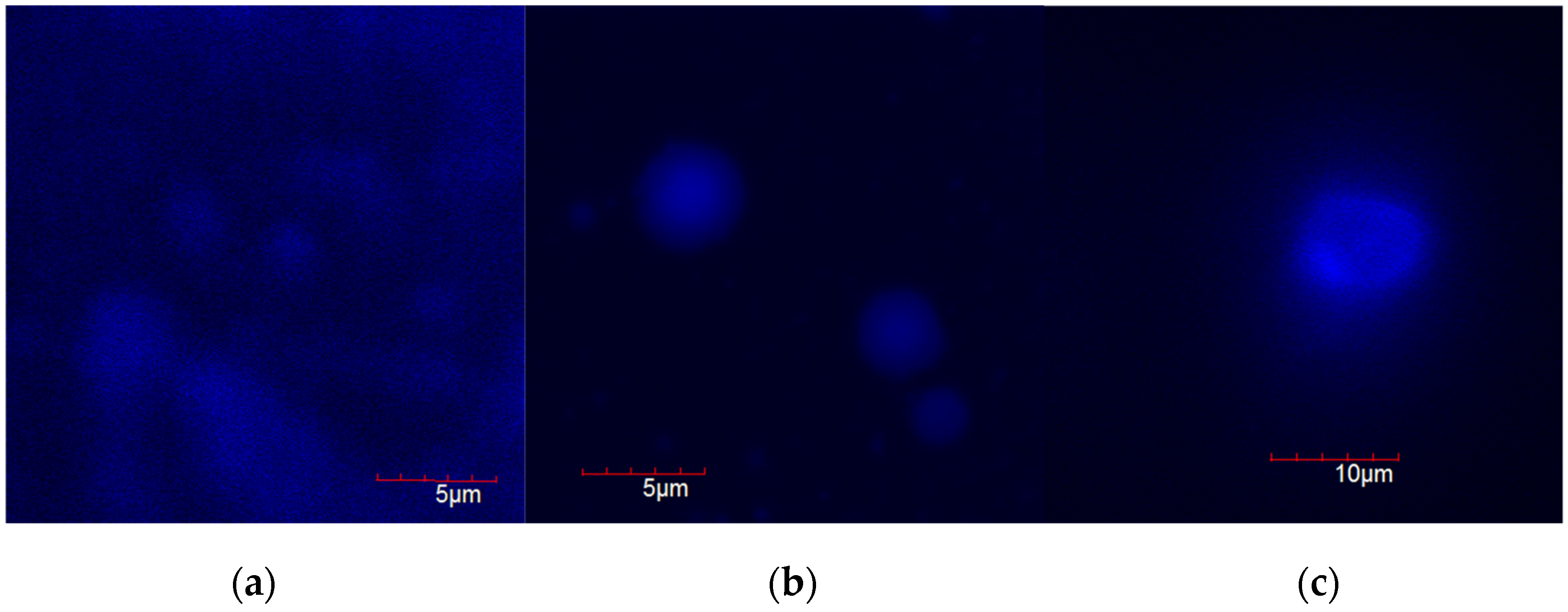 Chemproc 05 00090 g006