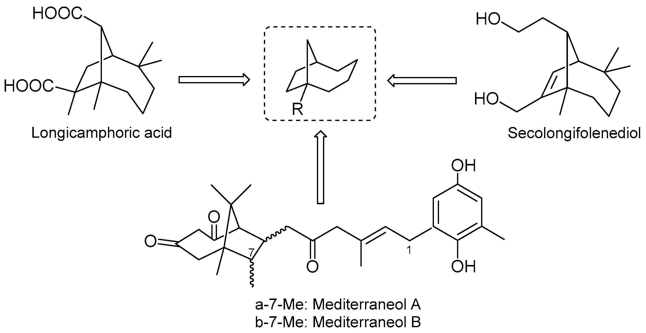 Chemproc 06 00002 g002 550