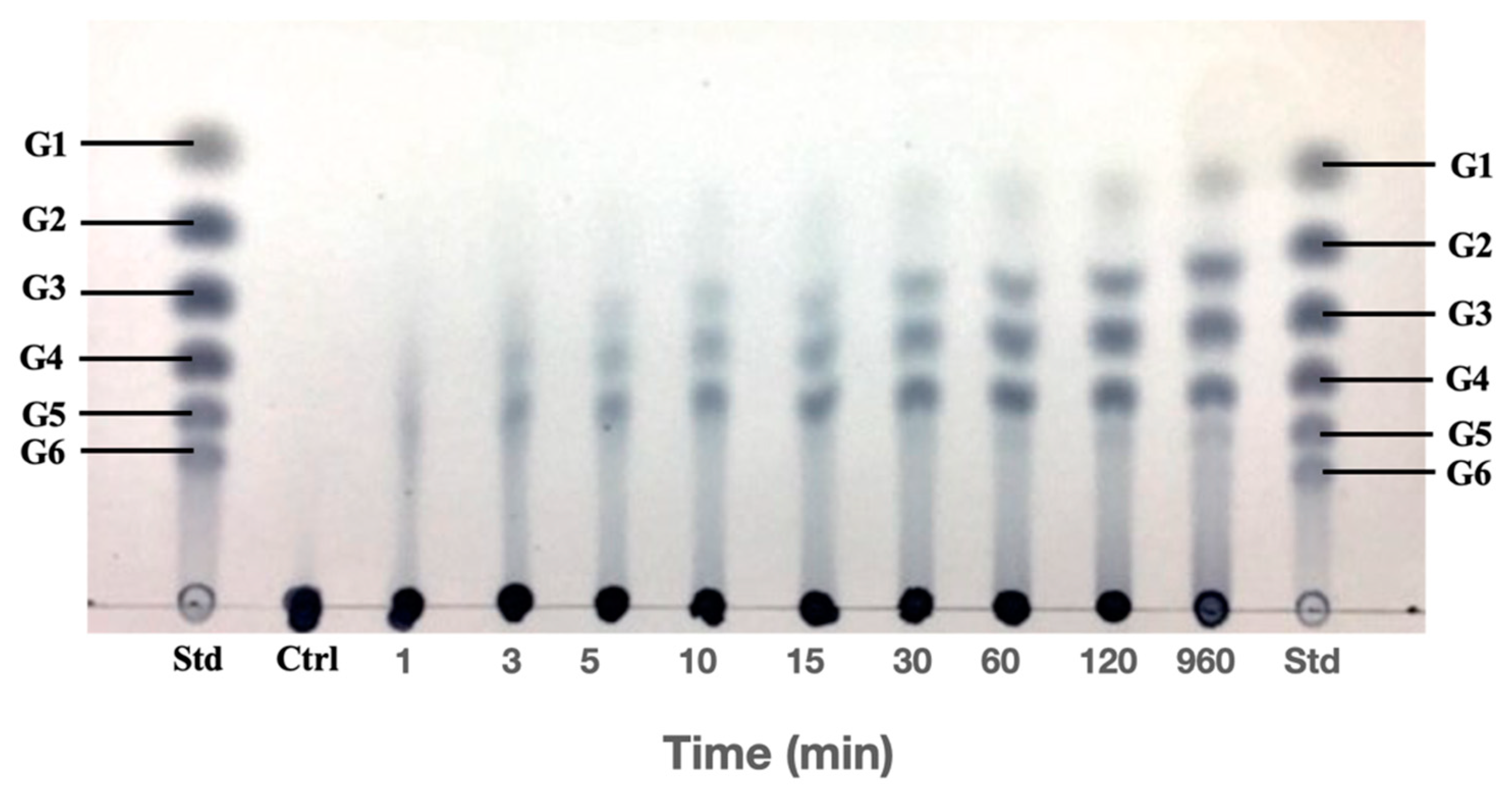 Chemproc 06 00012 g004