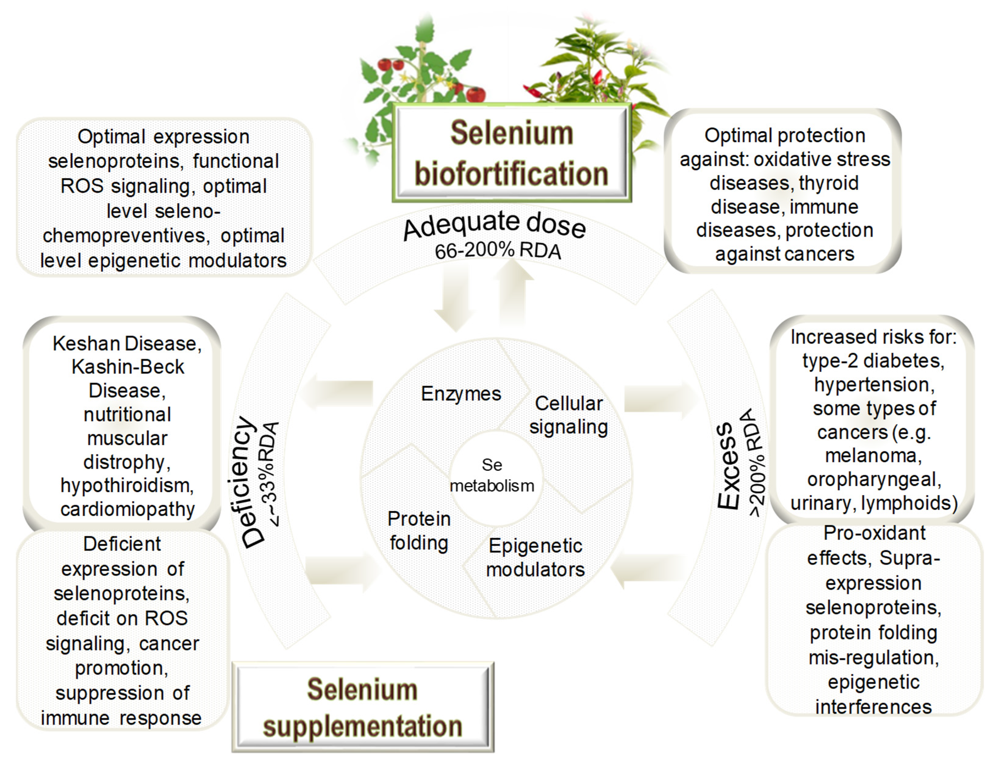 Chemproc 07 00016 g001 550