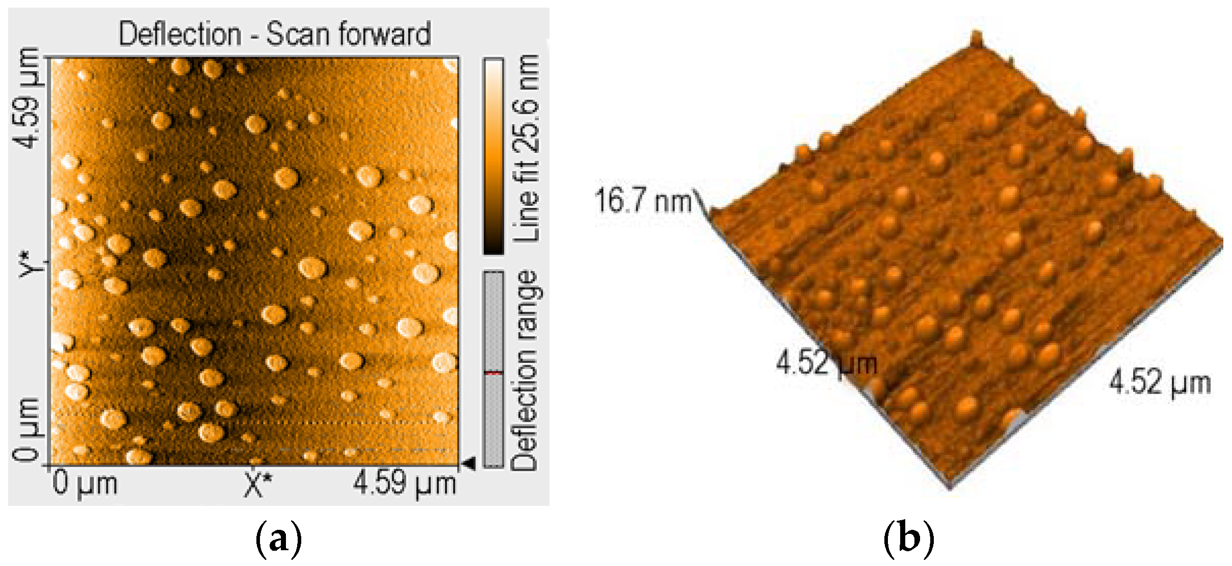 Chemproc 07 00019 g002