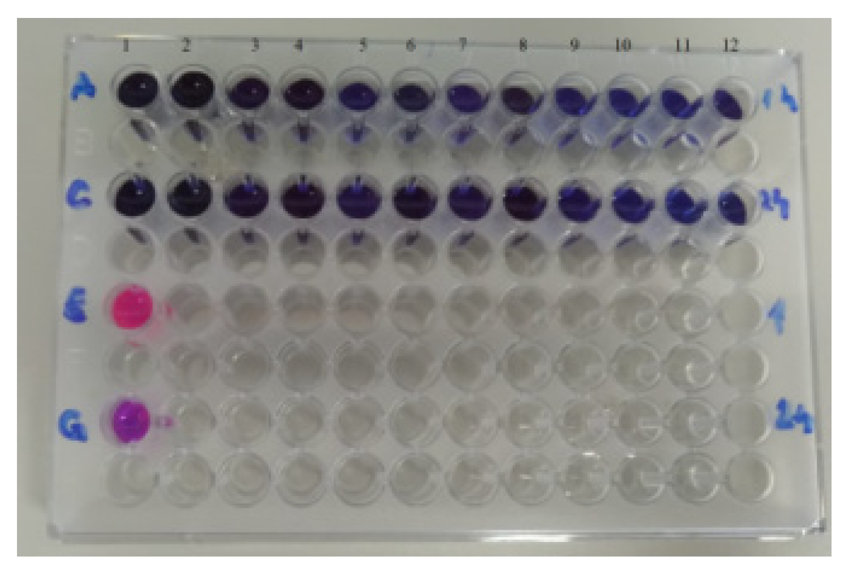 Chemproc 07 00022 g003 550