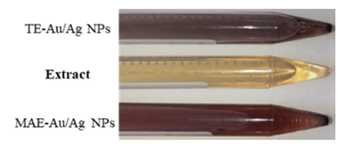 Chemproc 07 00048 i001