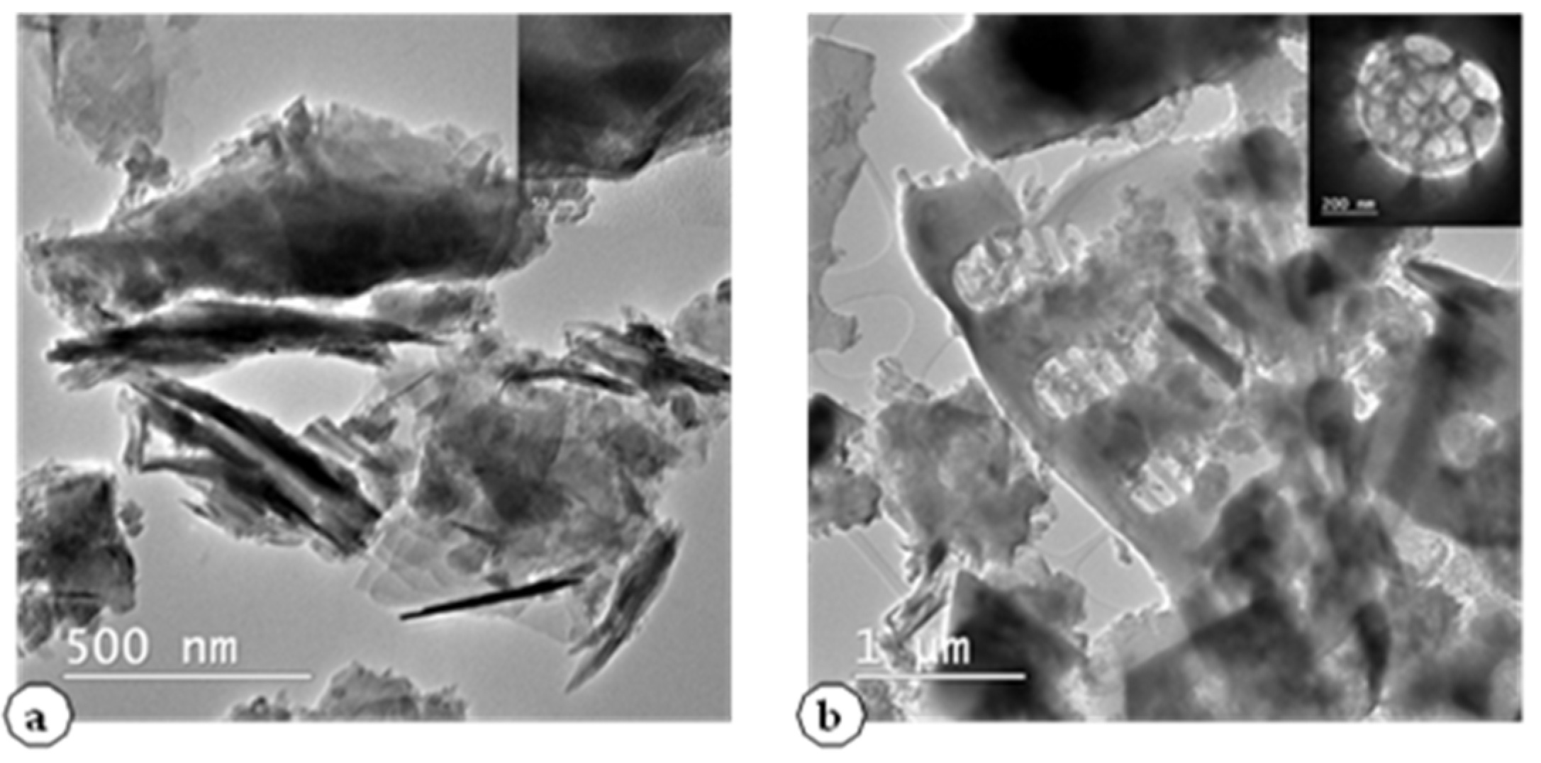 Chemproc 07 00068 g001 550