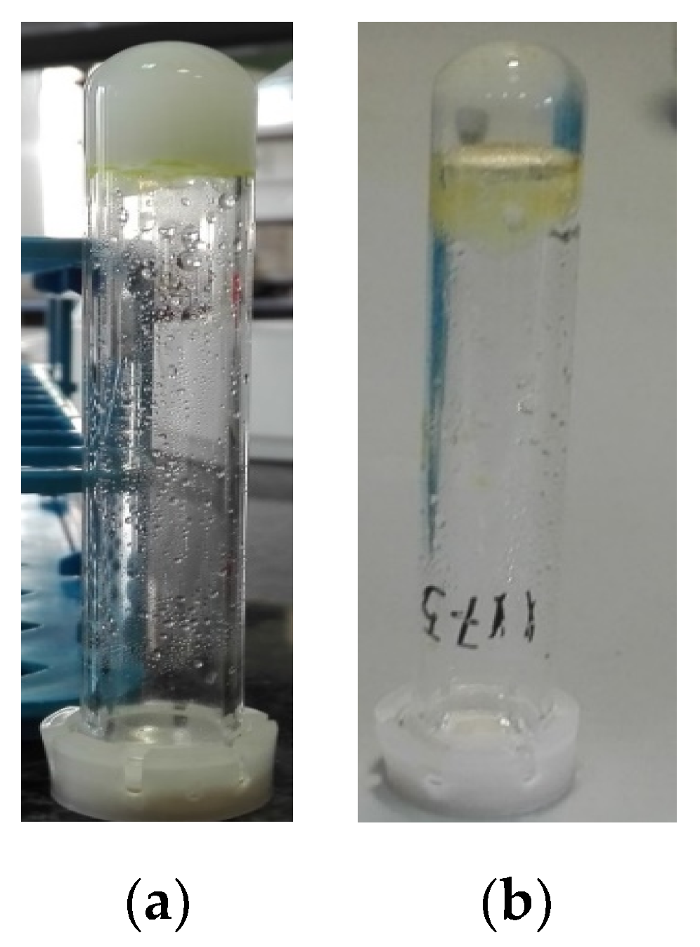 Chemproc 08 00001 g005