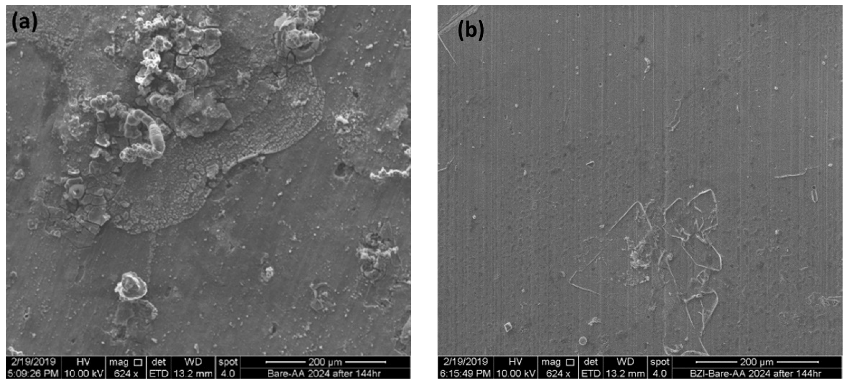 Chemproc 08 00014 g006 Chemproc 08 00014 g006