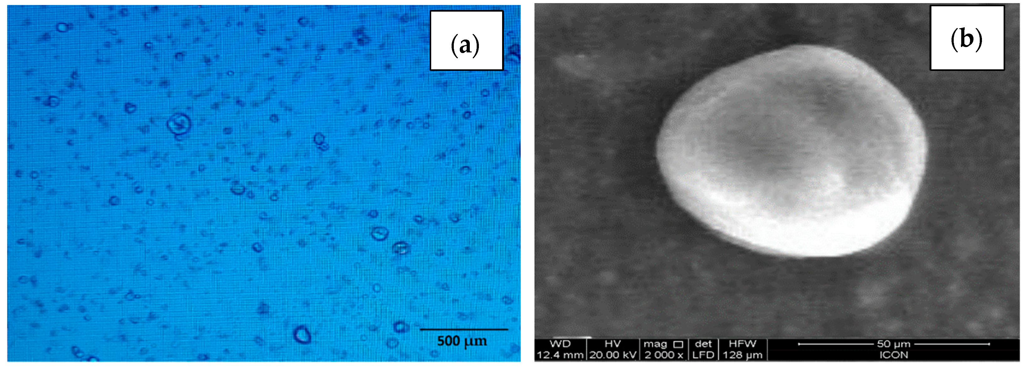 Chemproc 08 00034 g003