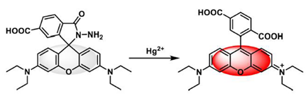 Chemproc 08 00050 i001