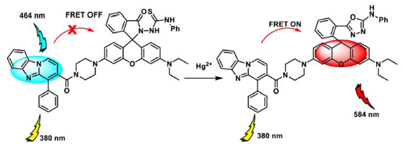 Chemproc 08 00050 i002
