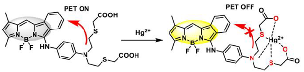Chemproc 08 00050 i003