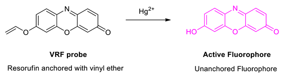 Chemproc 08 00050 i009