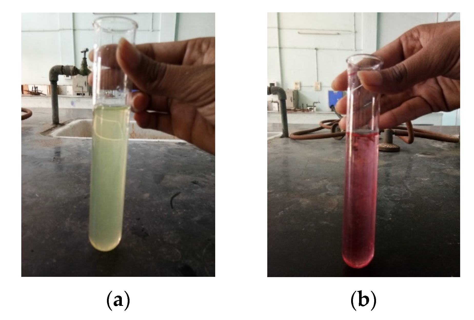 Chemproc 08 00056 g001
