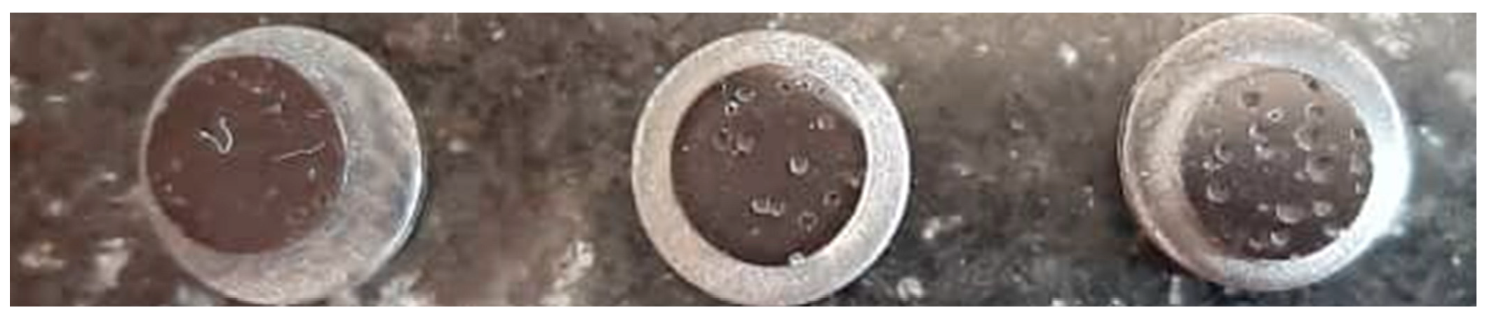 Chemproc 08 00066 g004