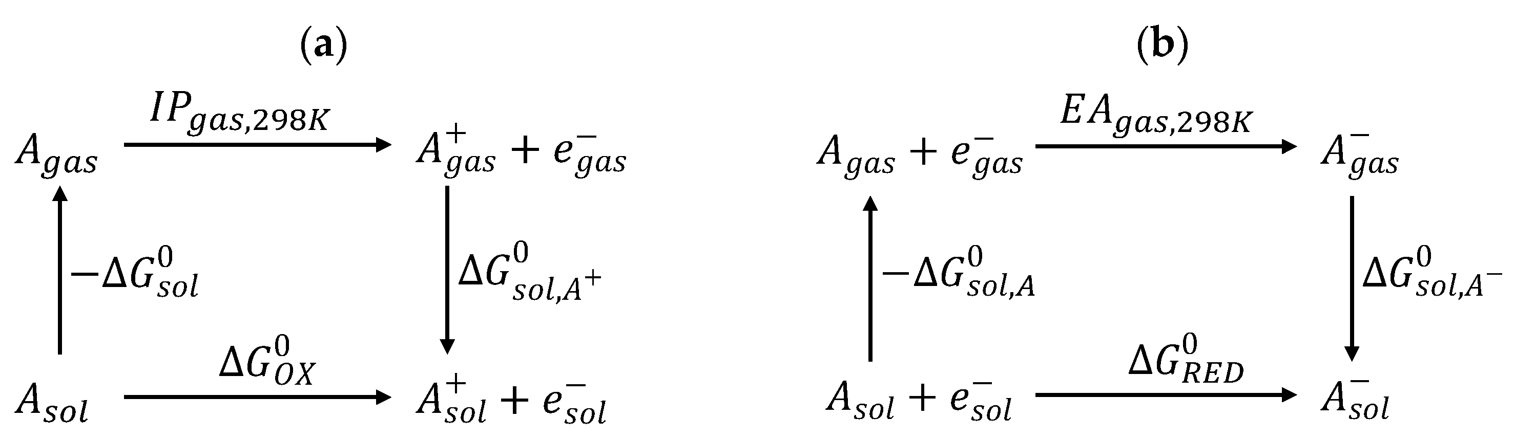 Chemproc 08 00080 sch002 550