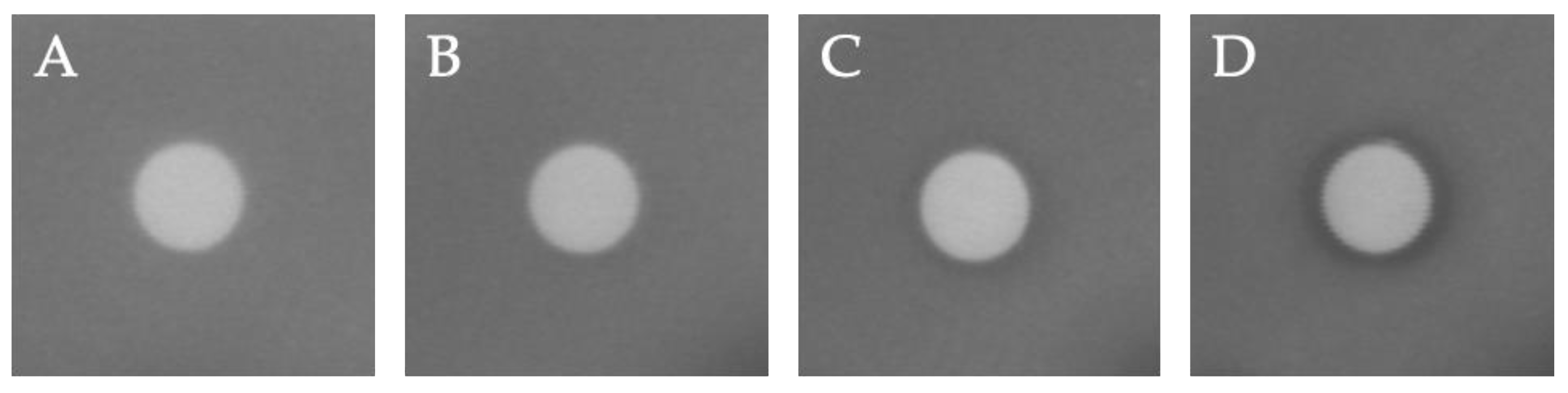 Chemproc 08 00104 g004