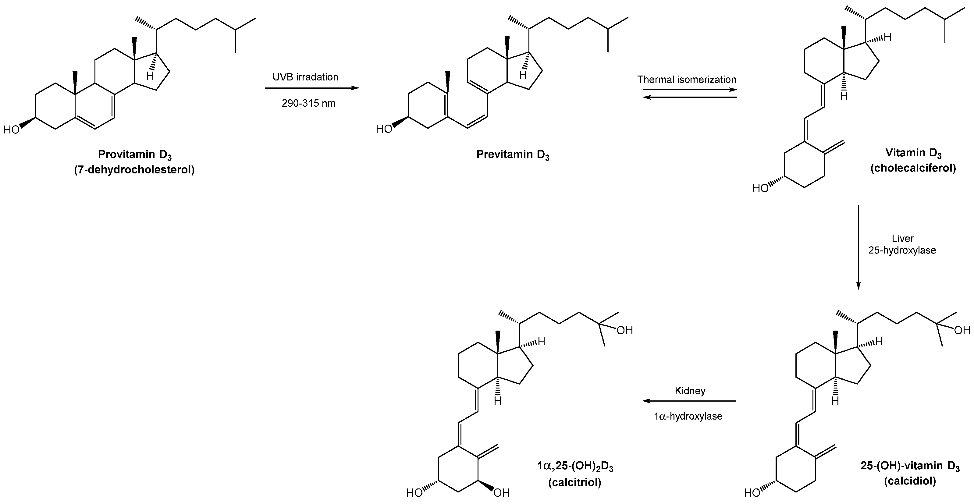 Chemproc 08 00107 sch001 550
