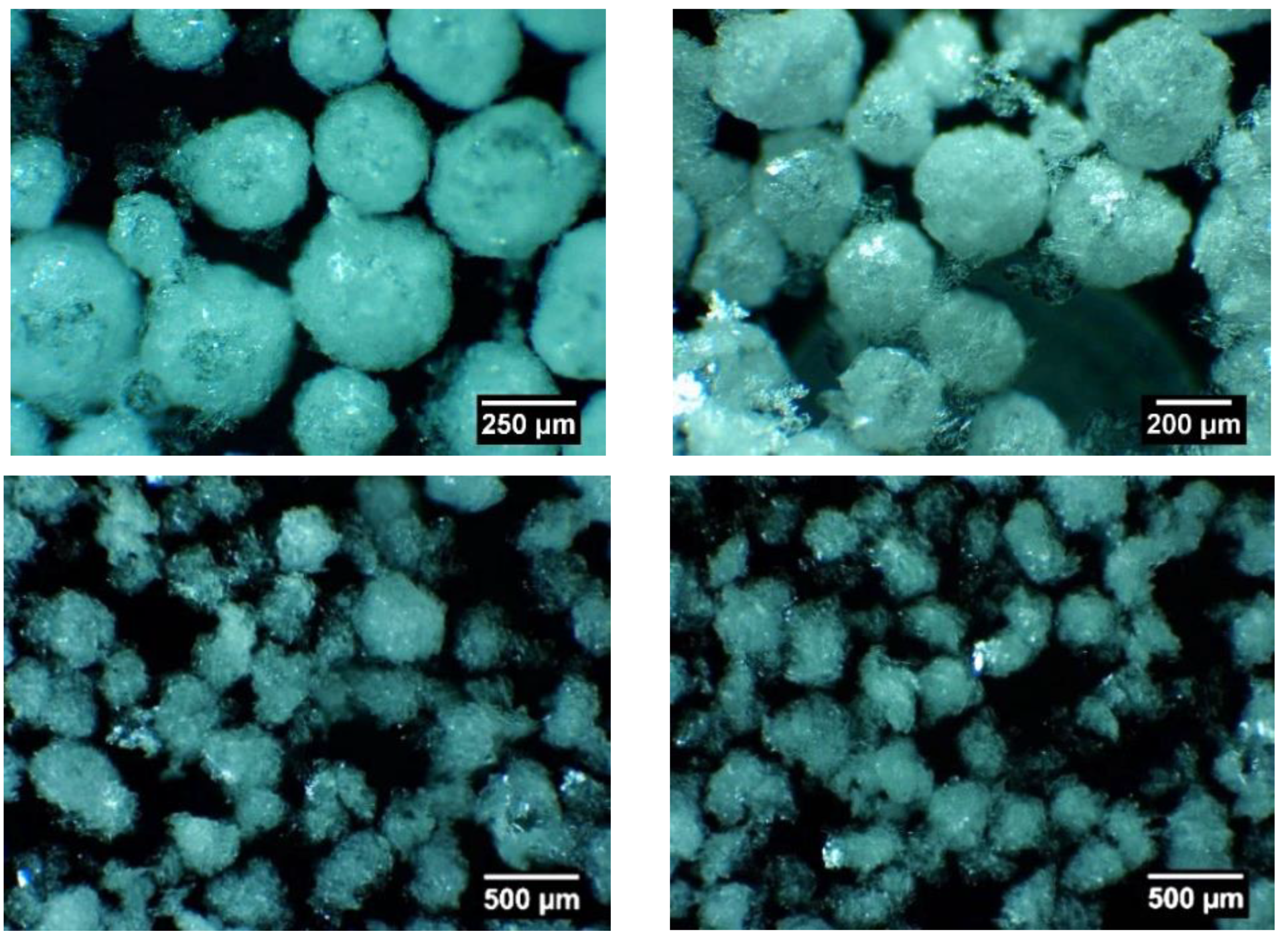 Chemproc 09 00002 g003 550