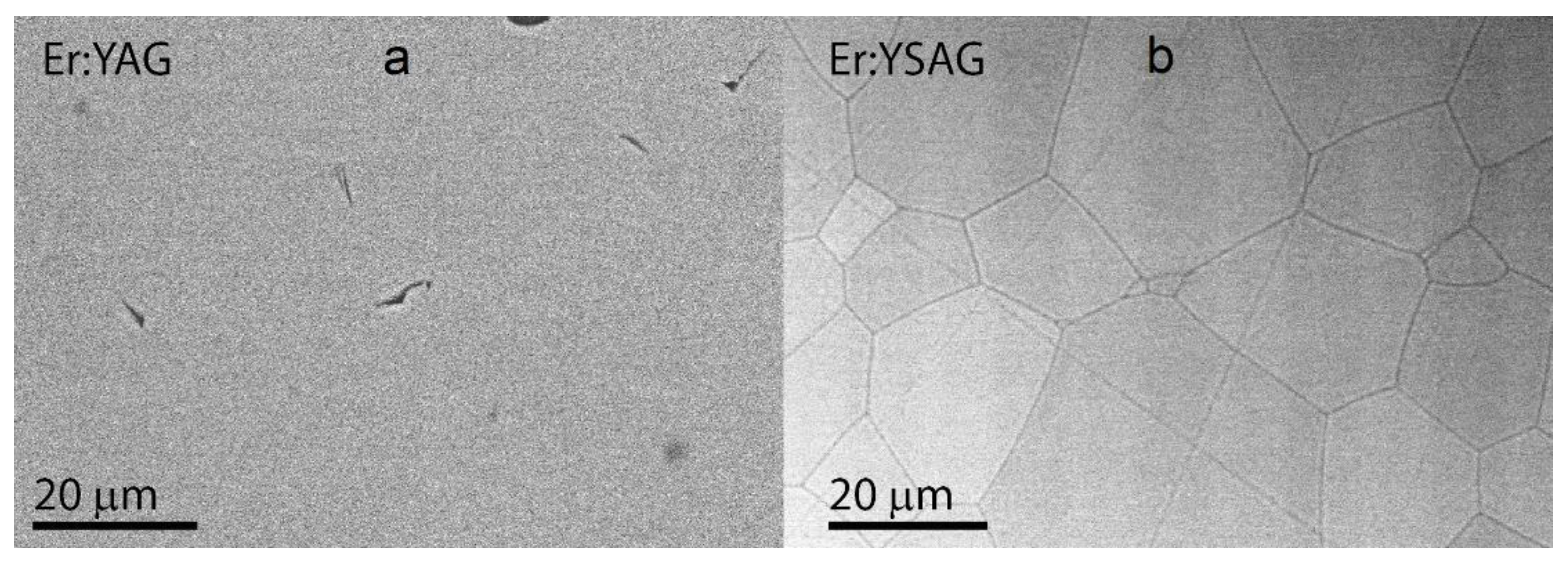 Chemproc 09 00018 g003