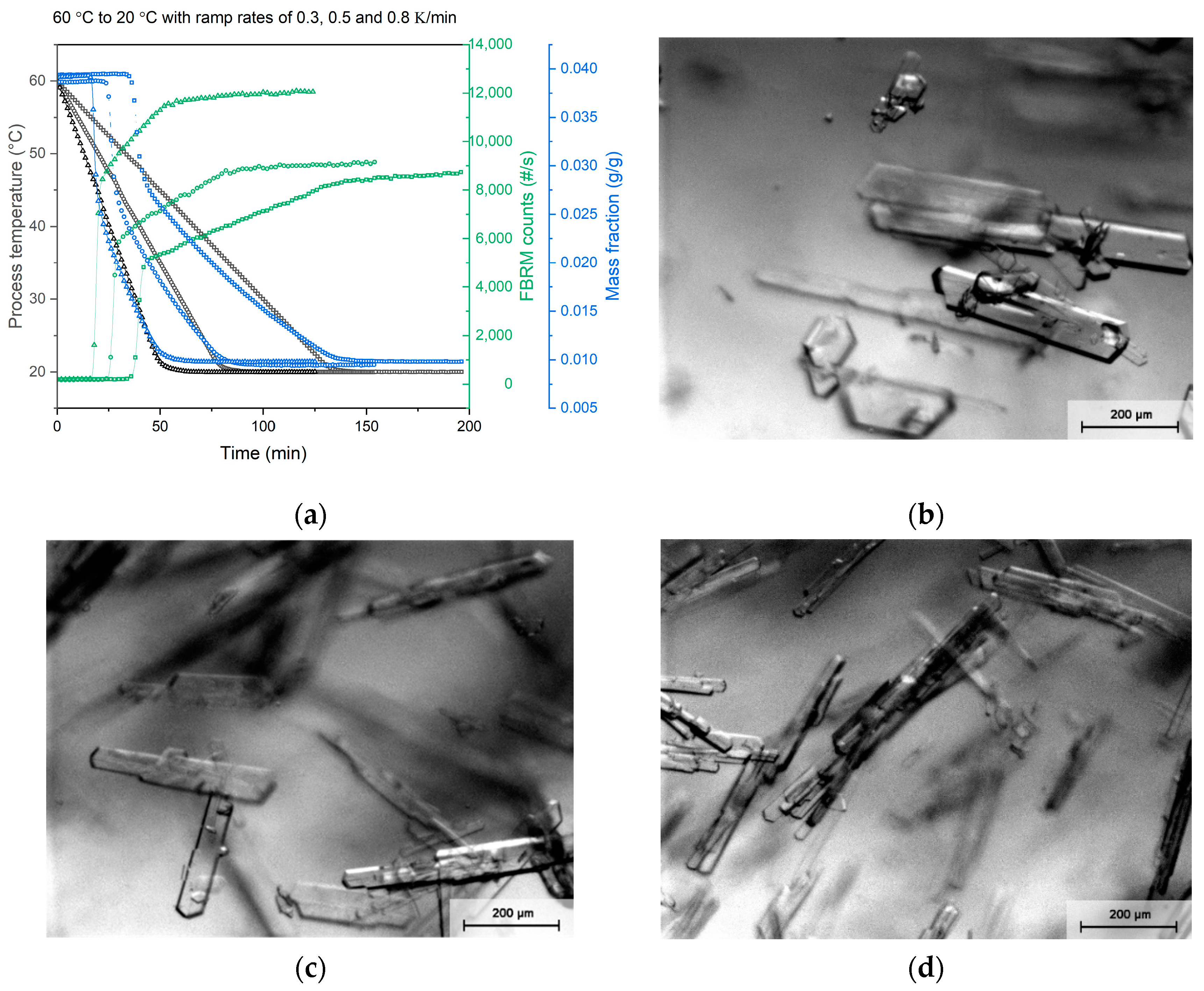 Chemproc 09 00021 g002