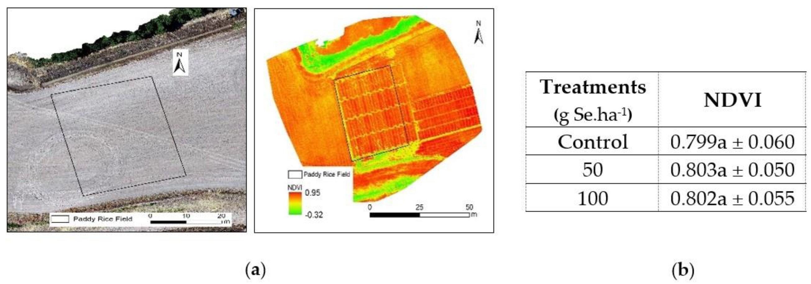 Chemproc 10 00003 g001
