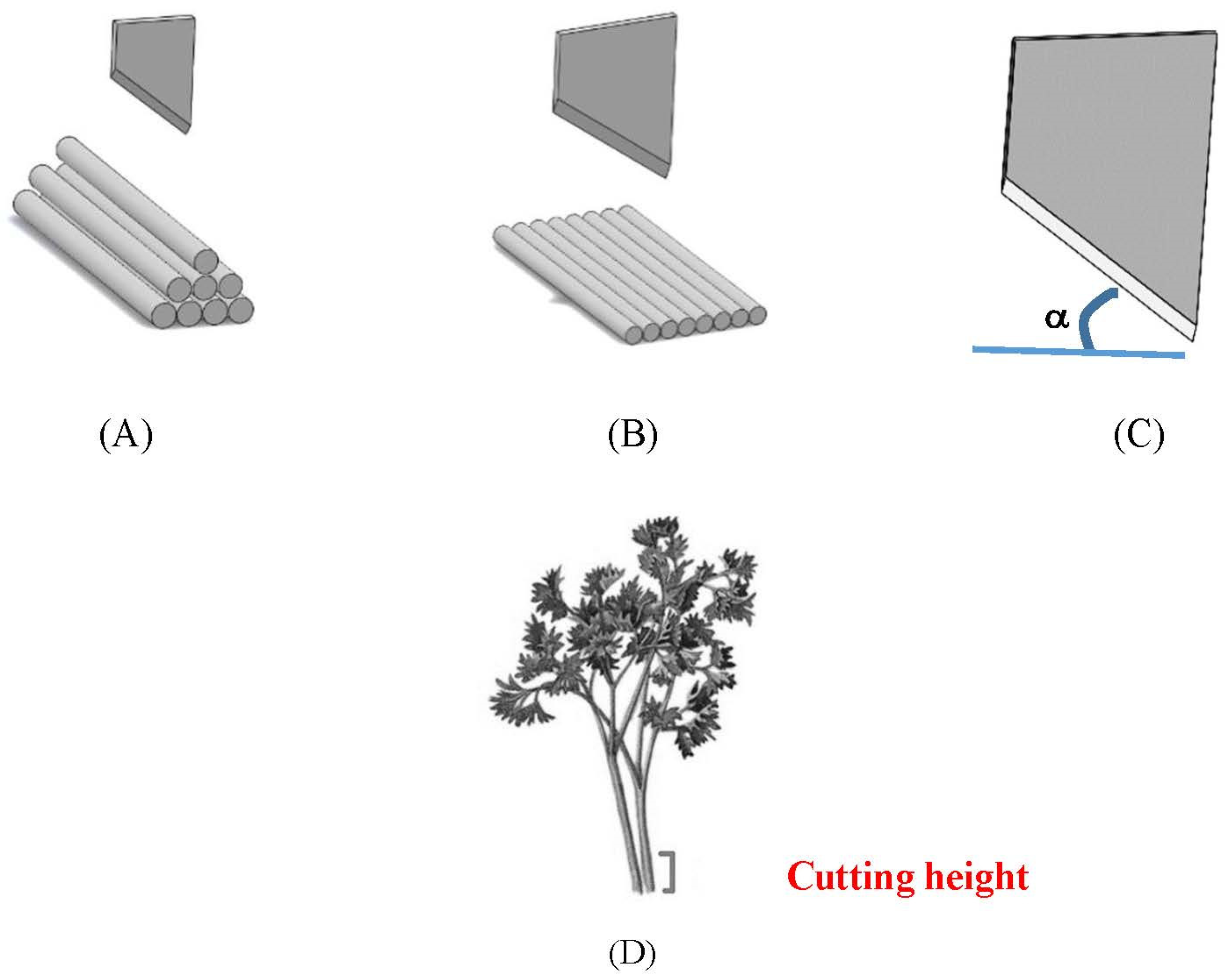 Chemproc 10 00016 g001