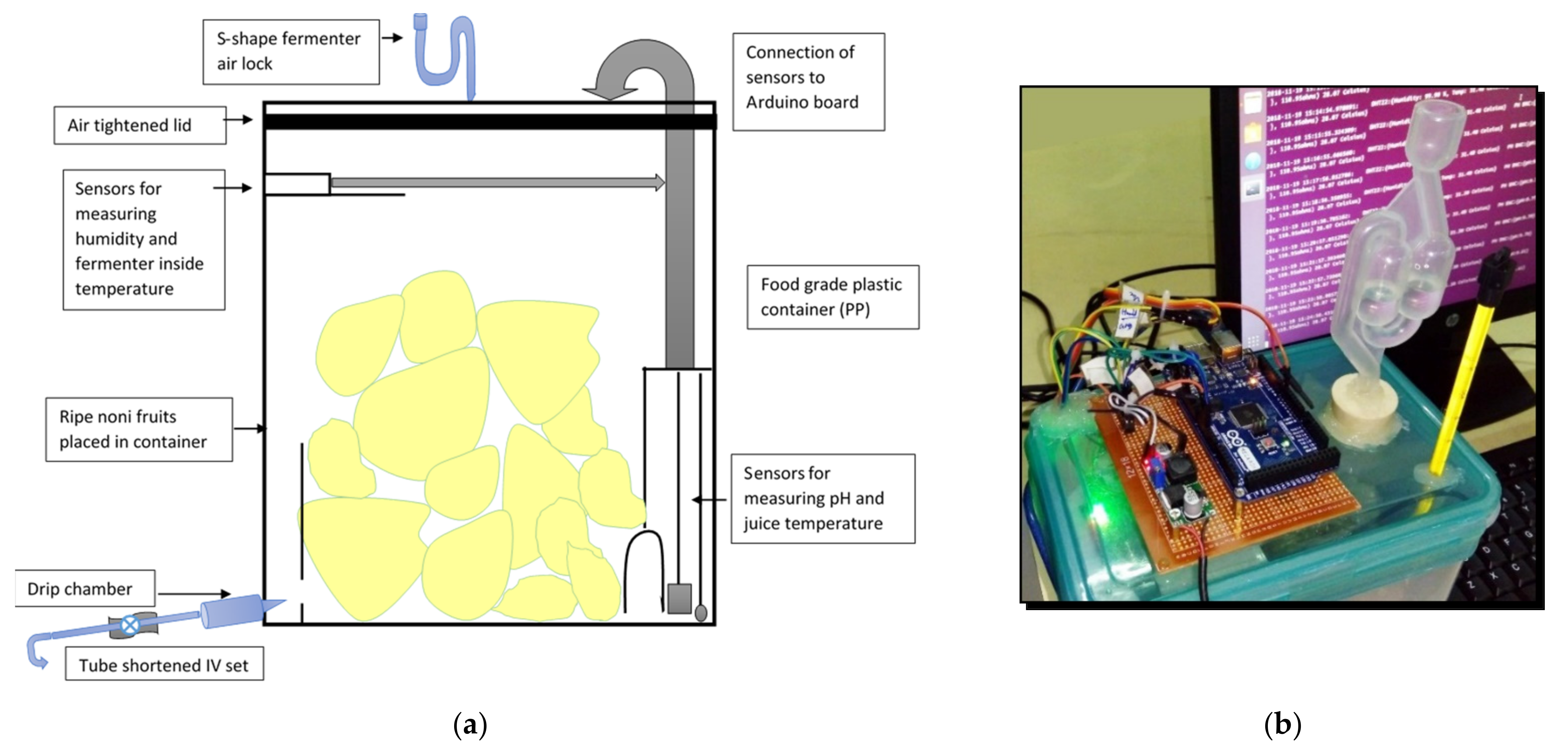 Chemproc 10 00017 g001 550