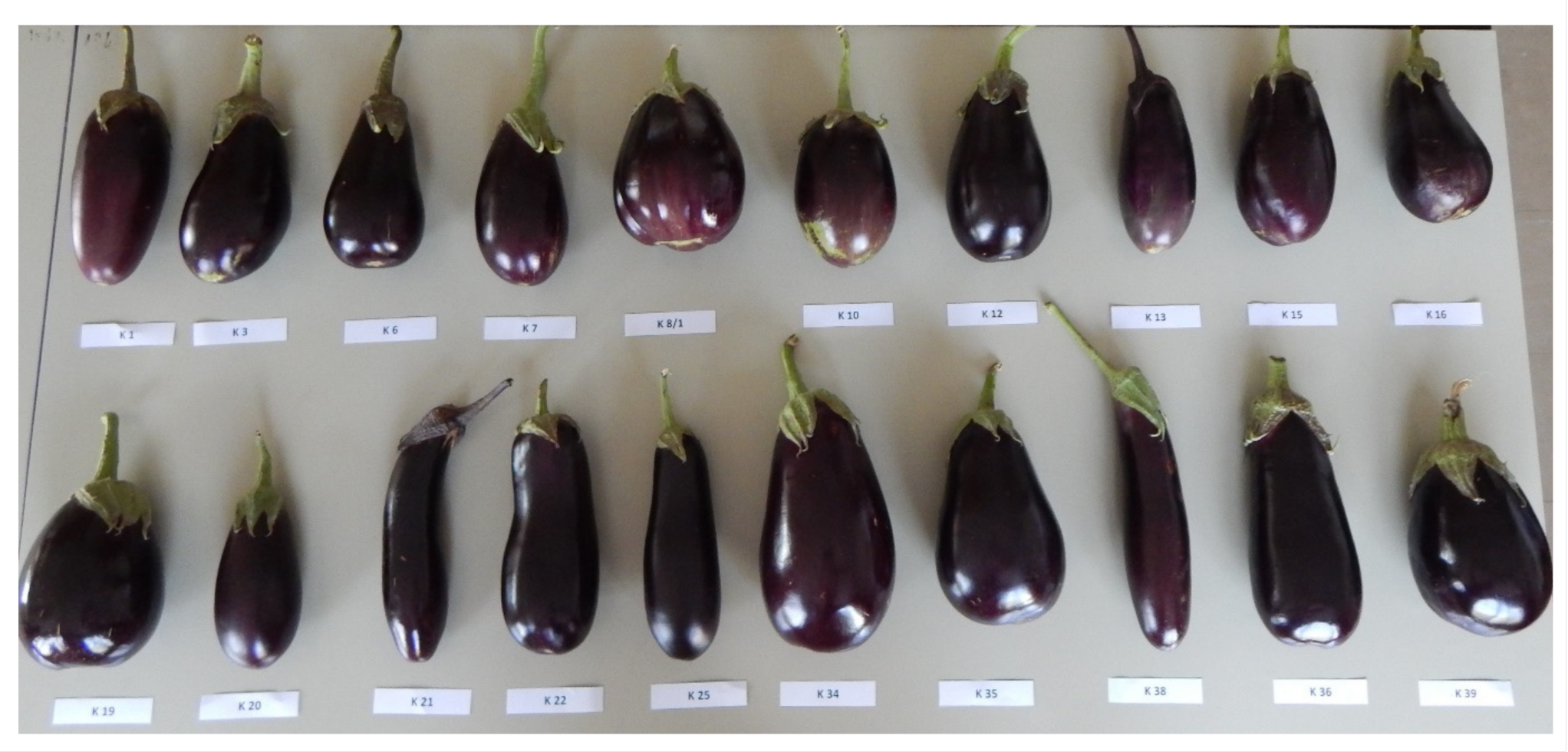 Chemproc 10 00031 g001