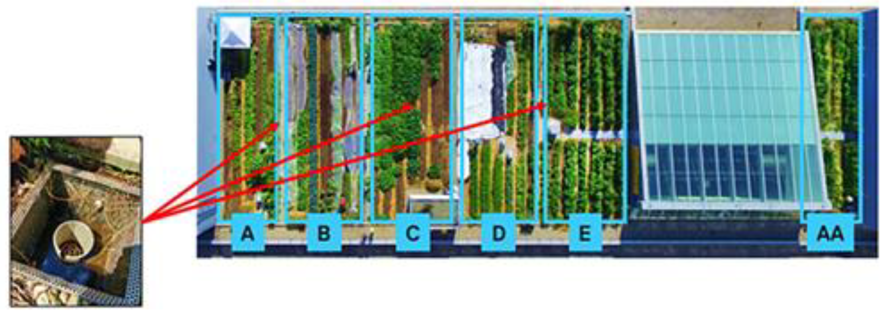 Chemproc 10 00034 g001 550