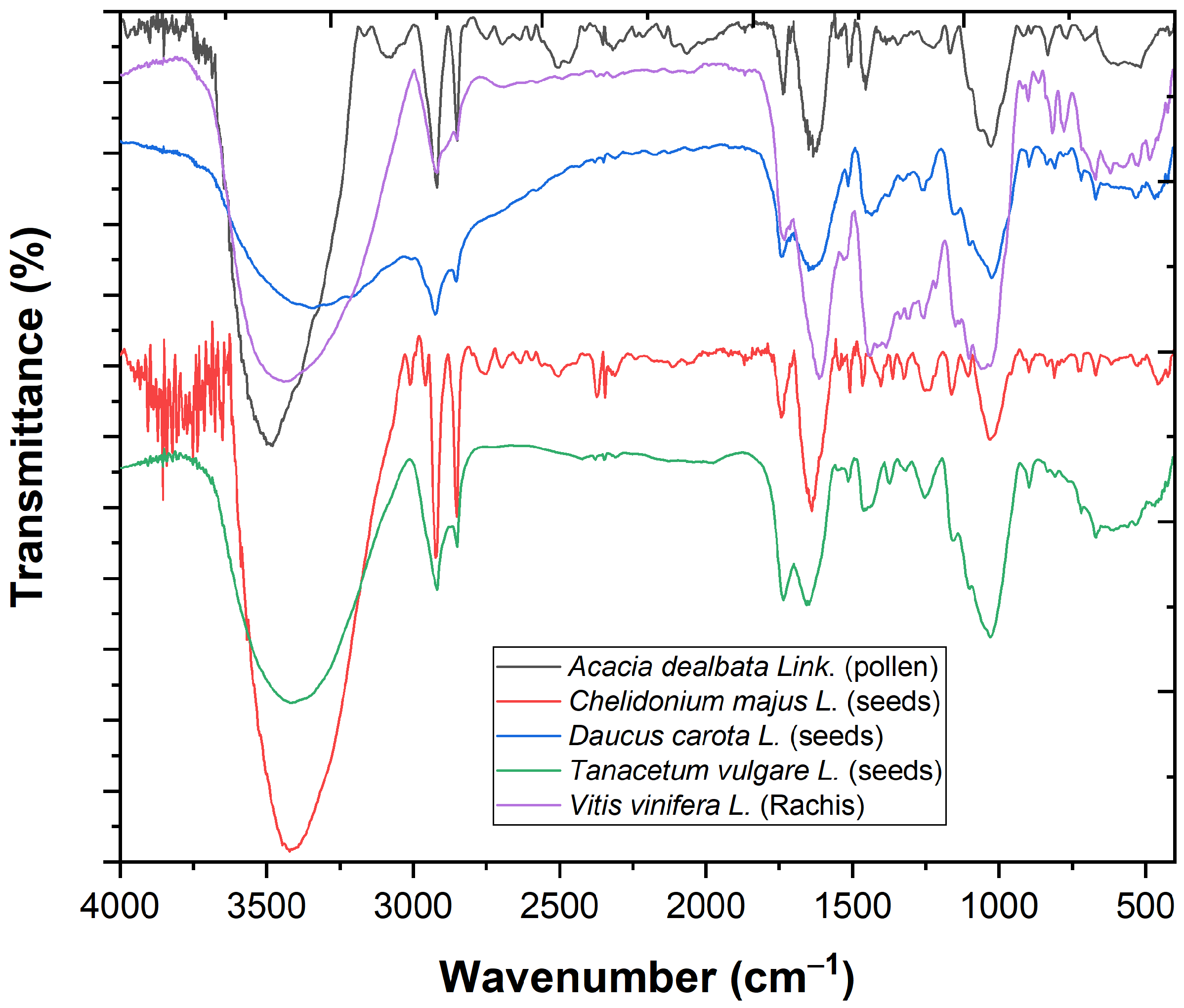 Chemproc 10 00035 g001